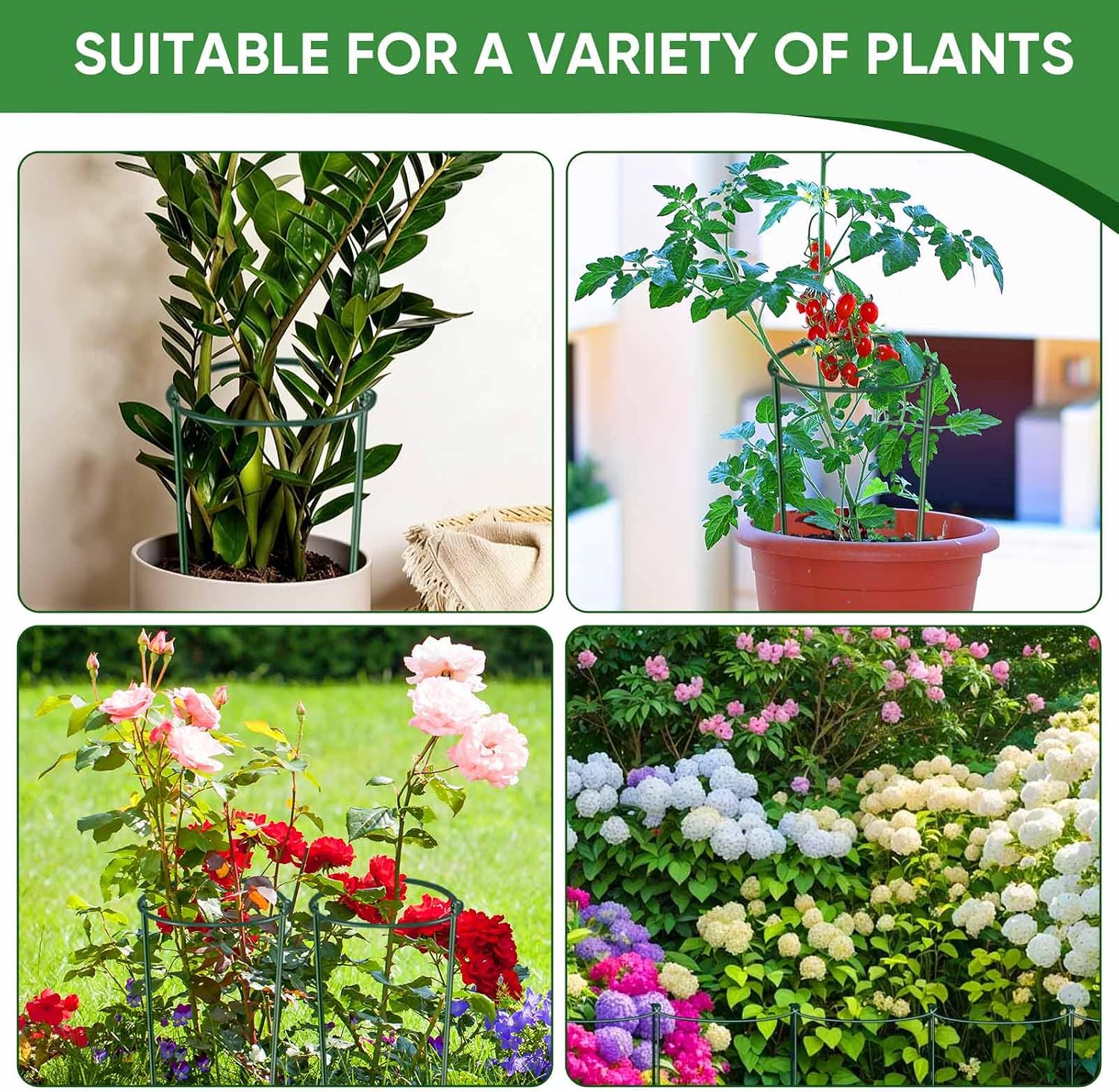 HiGift 10 Pack 24" H x 10" W Tall Plant Support Stakes, Half Round Metal Peony Cages and Supports, Monstera Plant