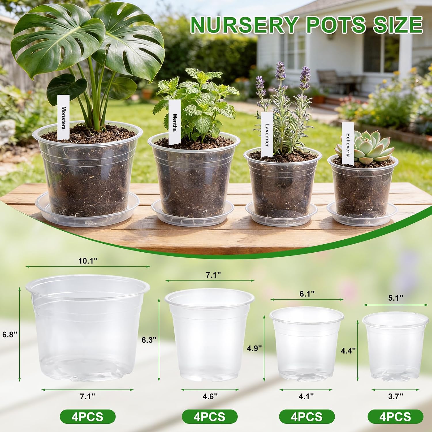 5/6/7/10 Inch Clear Nursery Pots with Drainage & Saucers 16PCS , Plant Large Pots with Labels, Seedling Tool & Hole