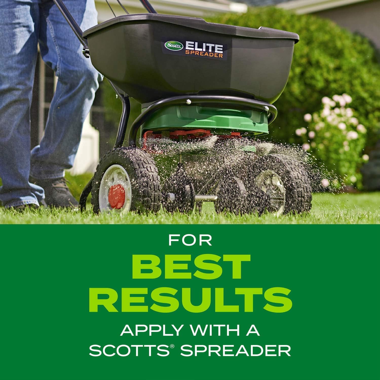 Scotts Turf Builder Rapid Grass Tall Fescue Mix, 5.6 lbs. | Combination Grass Seed and Fertilizer for Lawns, Lawn Seed