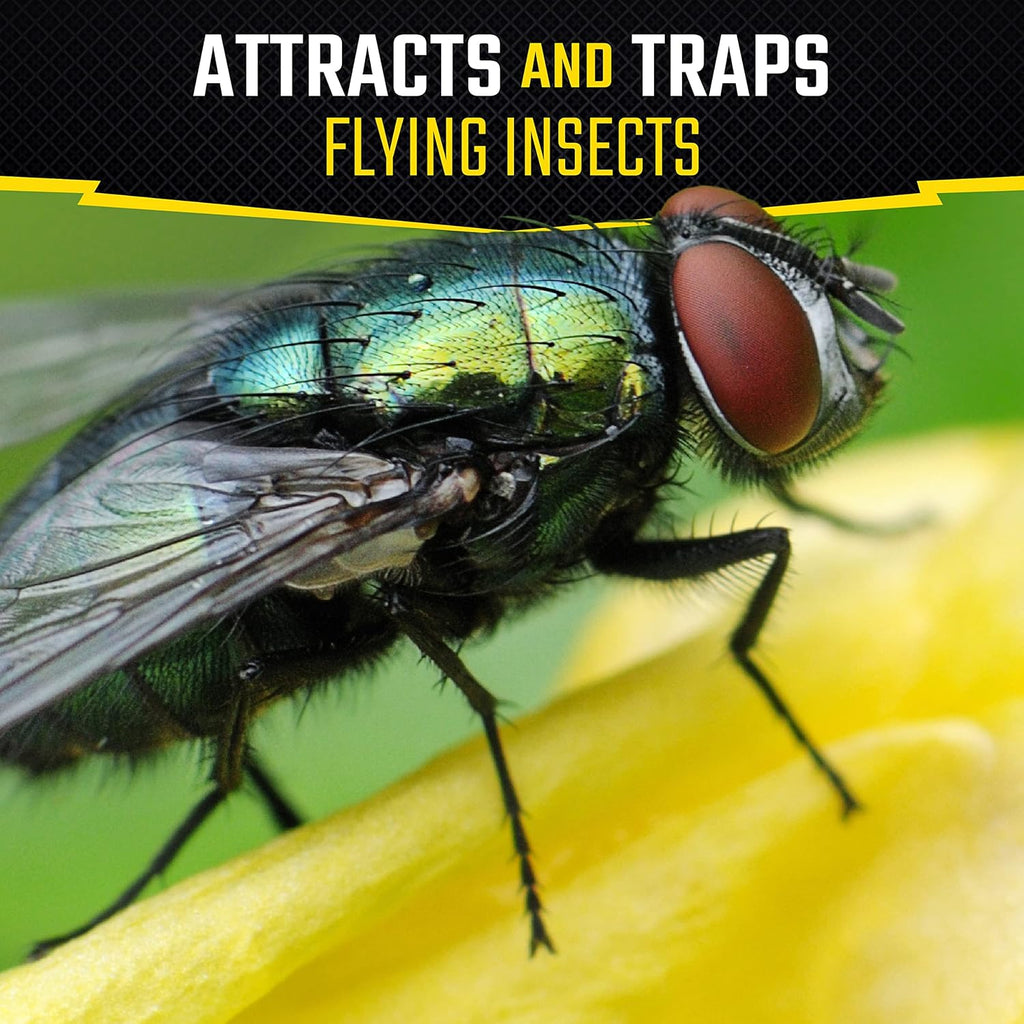 Black Flag Fly Stick, Trap Houseflies and Flying Insects, Pack of 6 | Traps & Attracts Flying Insects, For Indoor &