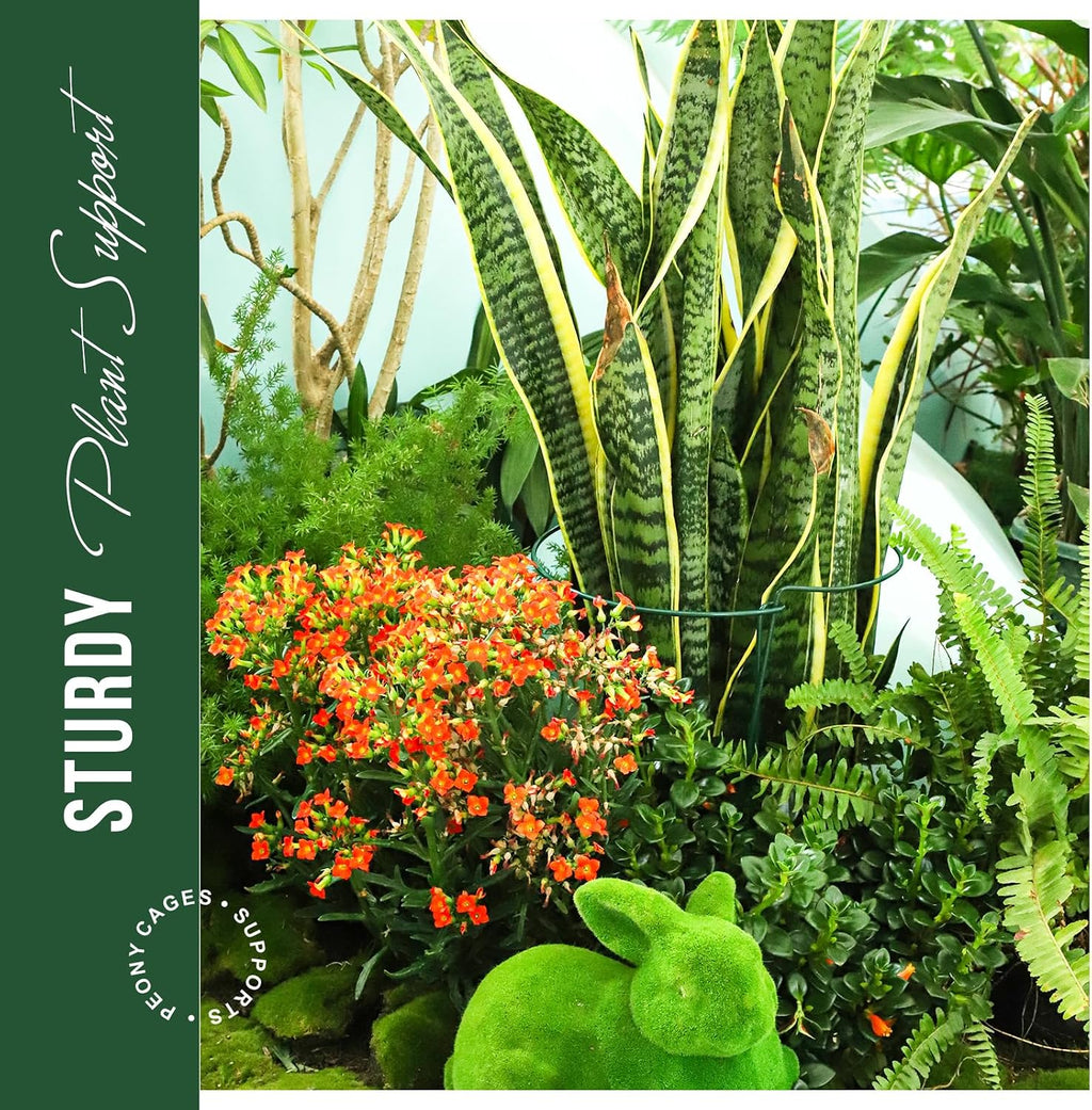 LEOBRO Plant Support Plant Stakes, 12pcs Peony Cages and Supports, Metal Garden Stakes Plant Supports, Plant Support
