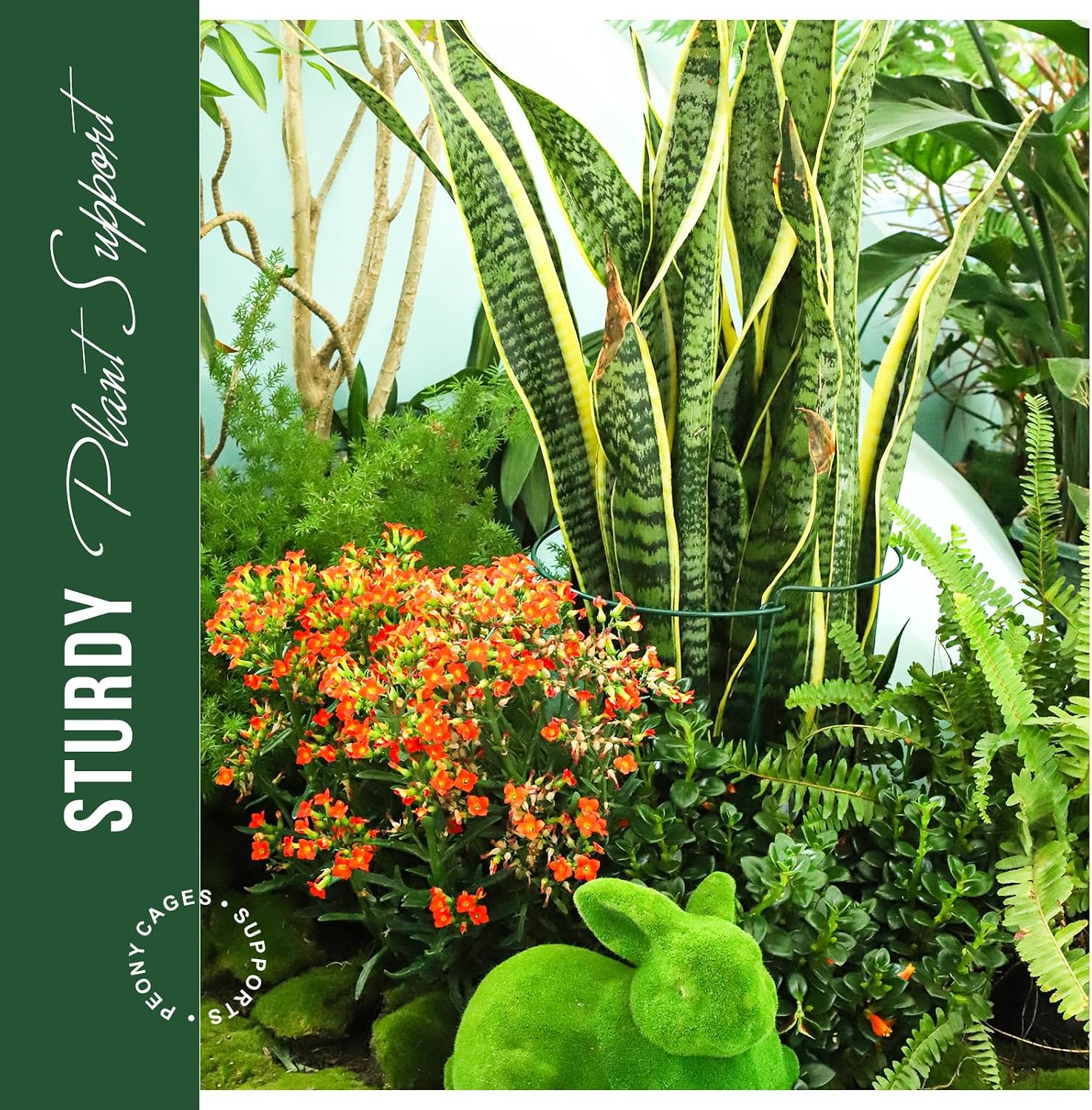 LEOBRO Plant Support Plant Stakes, 12pcs Peony Cages and Supports, Metal Garden Stakes Plant Supports, Plant Support