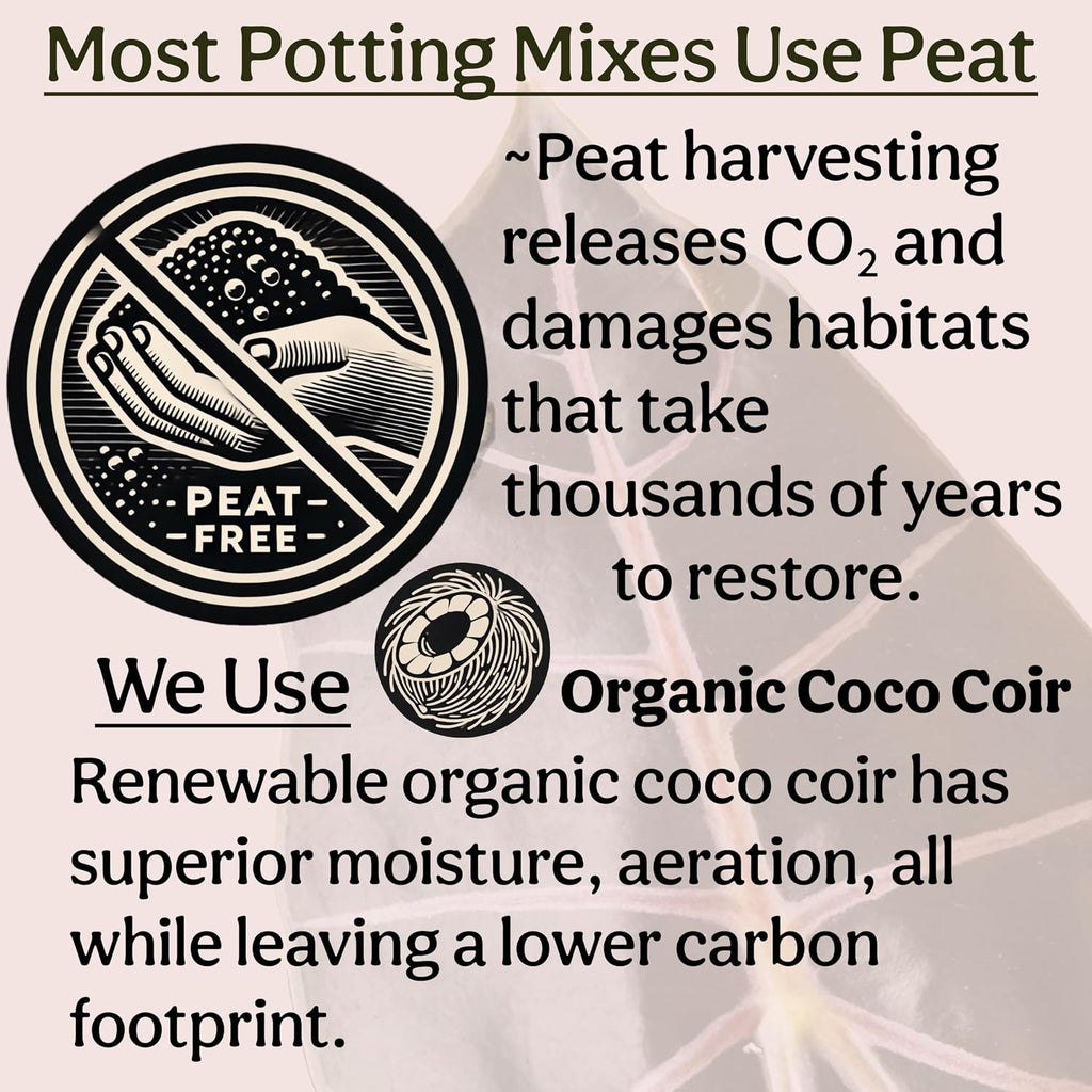 Craft Organic Houseplant Potting Mix, Elite House Plant Soil, Chunky, Well Draining Potting Soil for All Indoor Plants