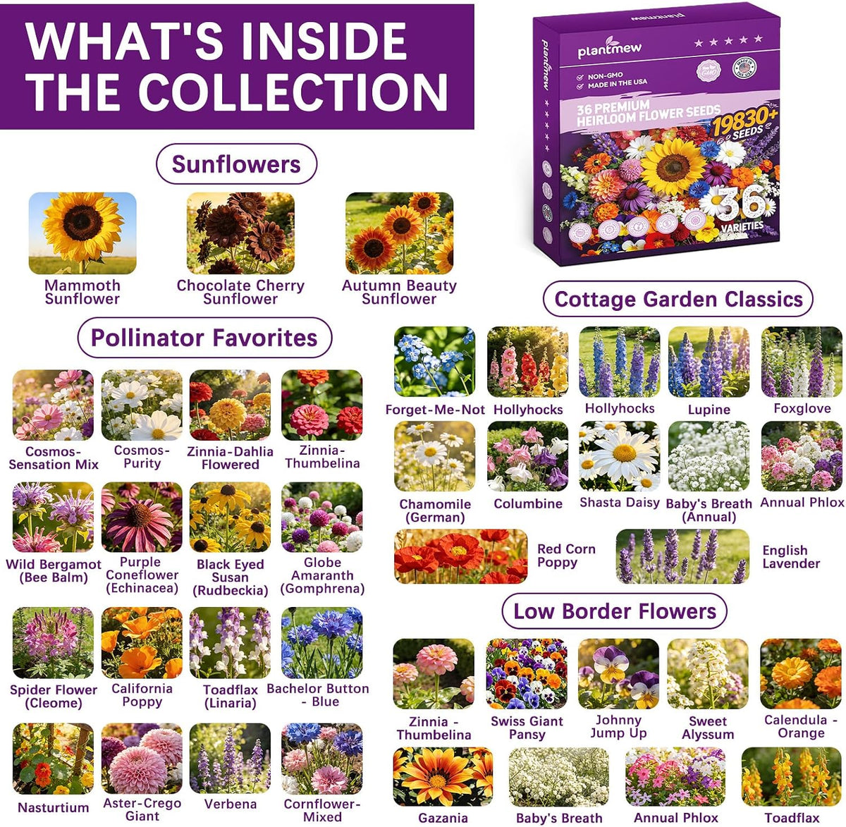 Wildflower Seeds Mix 1/2 lb, 19830+ Seeds Perennial& Annual 36 Varieties Flower Seeds for Planting，Non-GMO Heirloom