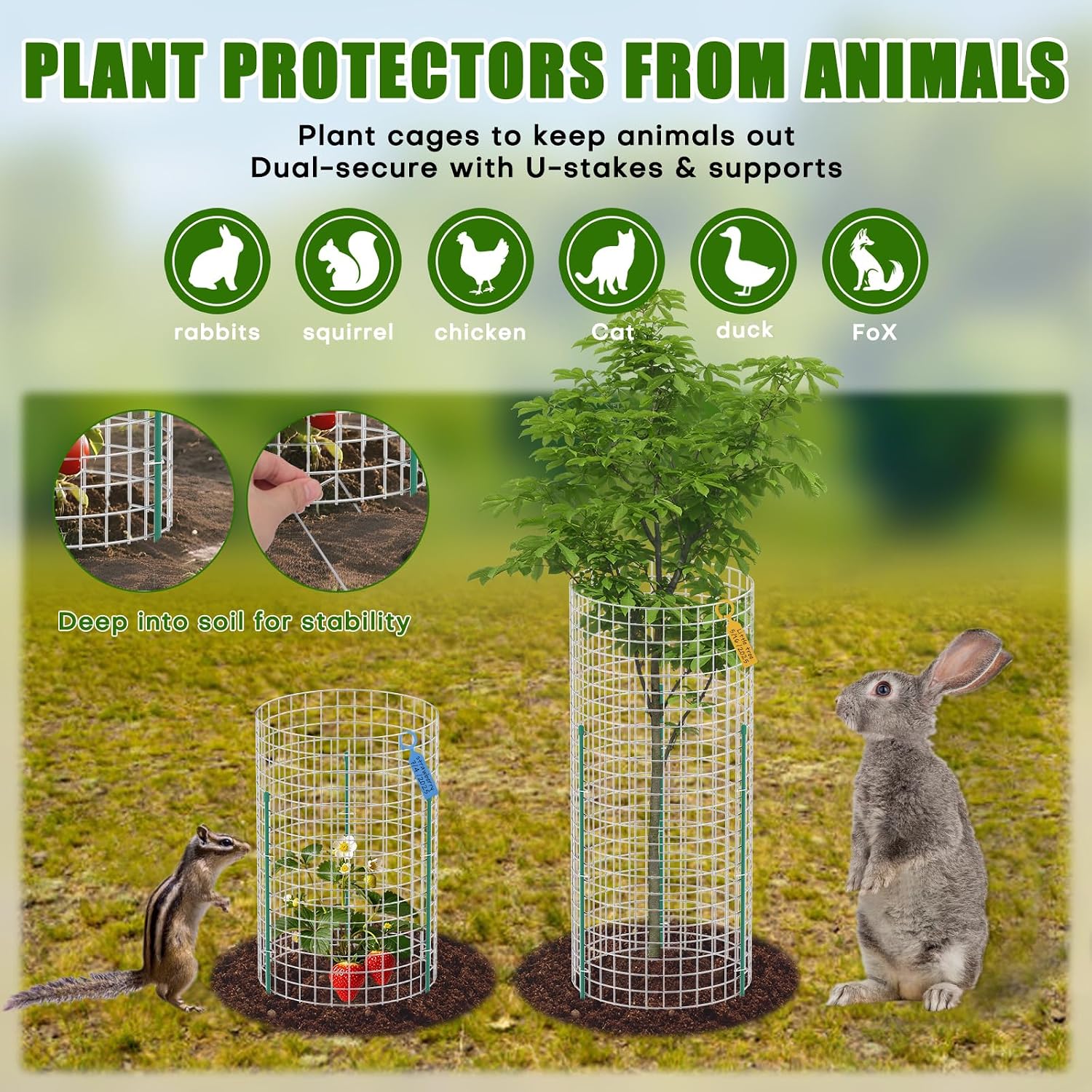 10 Set Plant Protectors from Animals, Galvanized Plant Cages for Outdoor | 12" x 16" Metal Wire , Dual-Secure with