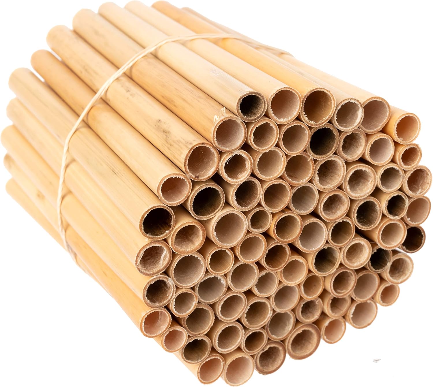 Rivajam 125 Phragmite Reed Mason Bee Tubes | Refill for Bee House, Hotel Nest Box, Solitary Hive & Pollinator Box