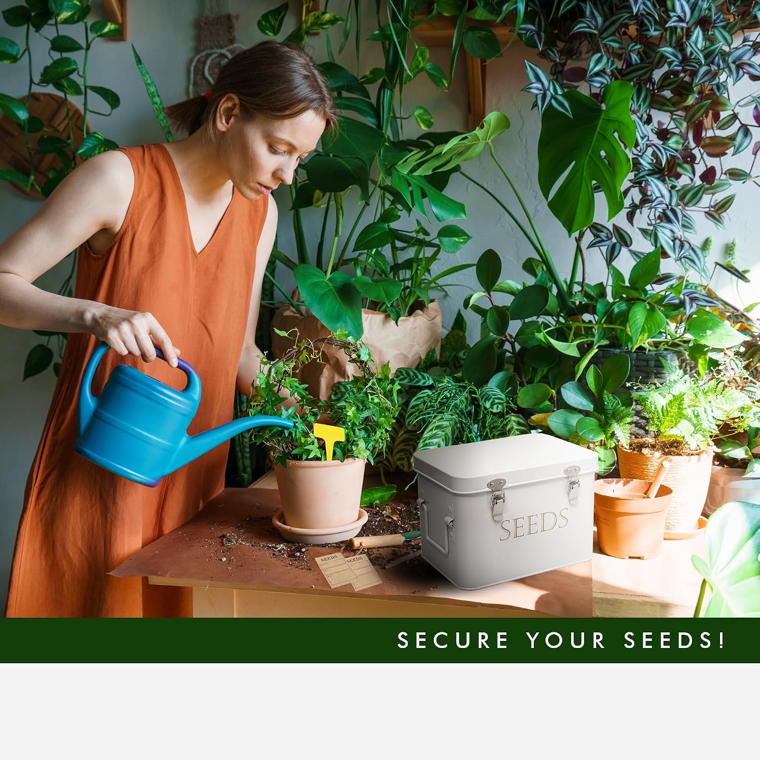 Garden Seed Storage Box with Dividers Seeds Packet Organizer Case for Gardening 3 Inner Slot Bird Plant or Vegetable