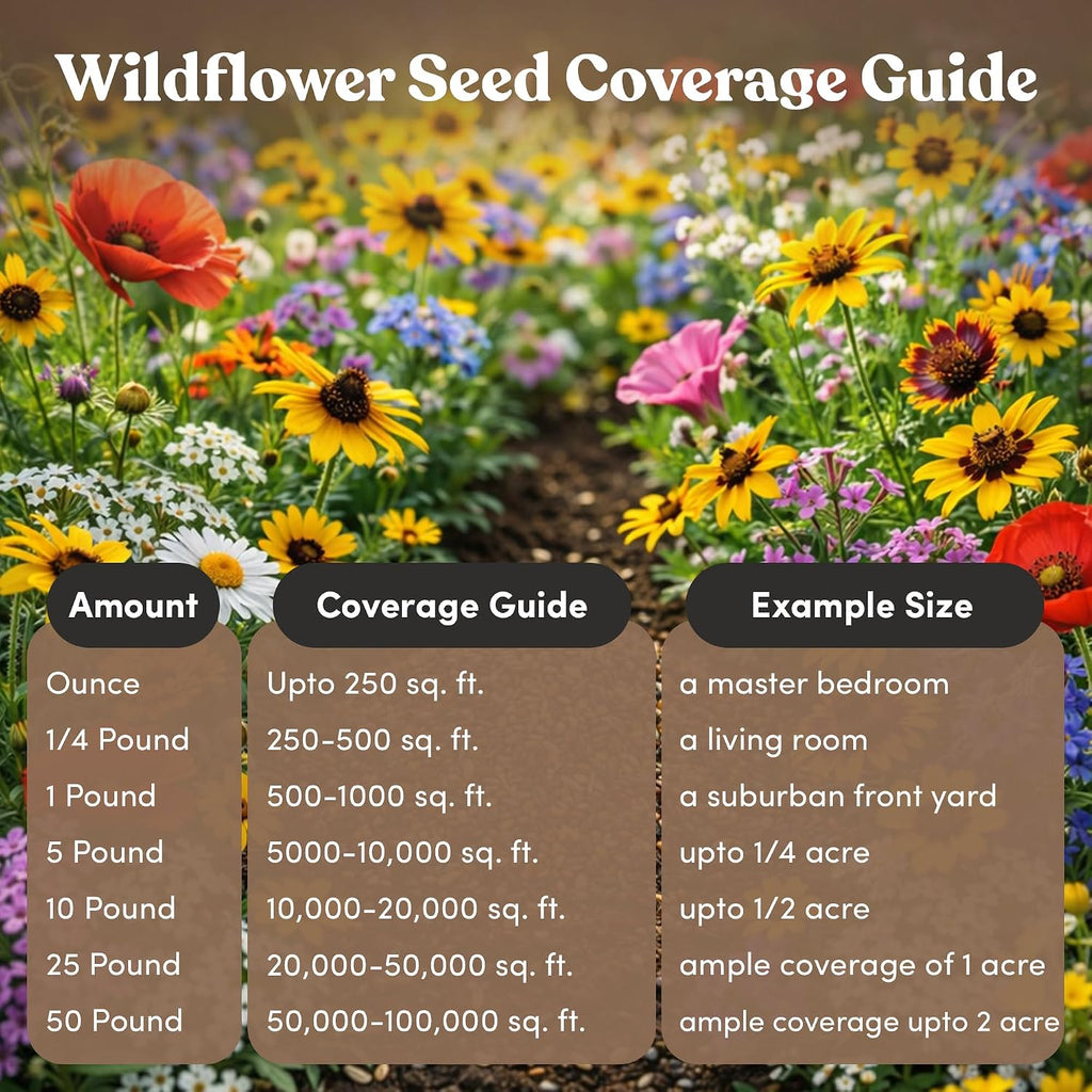 Midwest Wildflower Seeds Regional Mix - Organic, Non-GMO - 100% Pure Seed - 21 Different Wildflowers Seeds of Annual