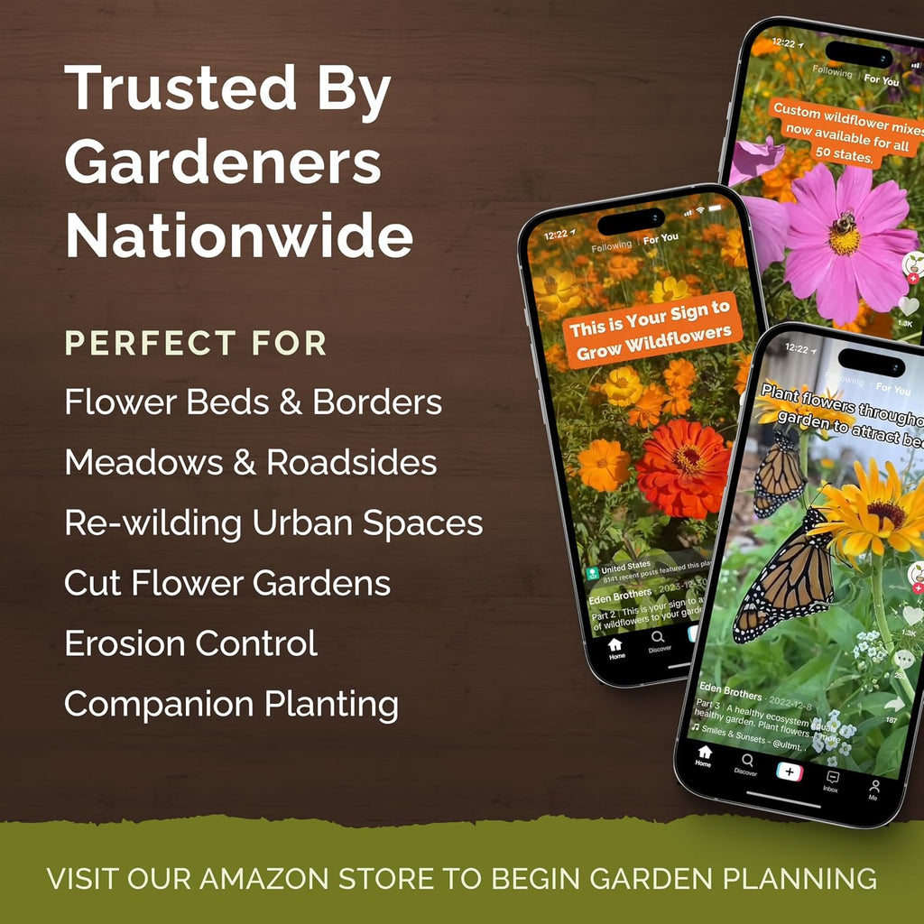 Eden Brothers The Bees Knees Pollinator Wildflower Seed Mix, 1 lb | (543,000+ Seeds), Throw and Grow, 100% Pure, No