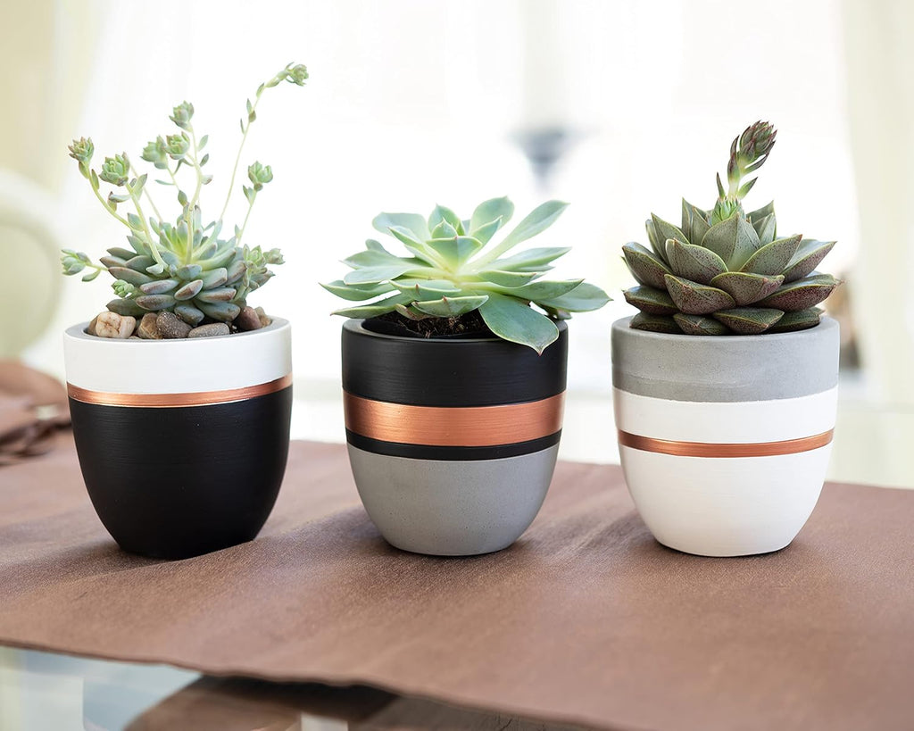 PASENITY Hand Painted Indoor Plant Pots, Set of 3 Modern Cement Succulent Pots with Drainage, Best Planters for Cactus