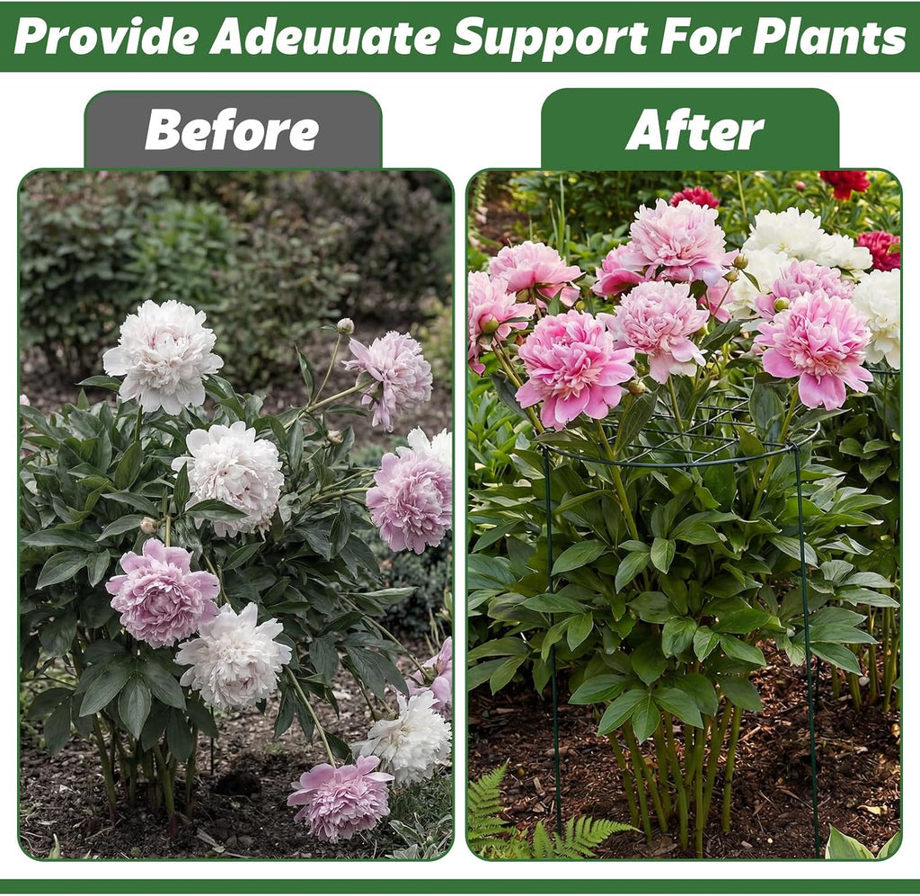 4 Pack Round Peony Cages and Supports 20 x 30 Inches (D x H) Grow Through Grid Plant Brace Plant Support Stake Heavy
