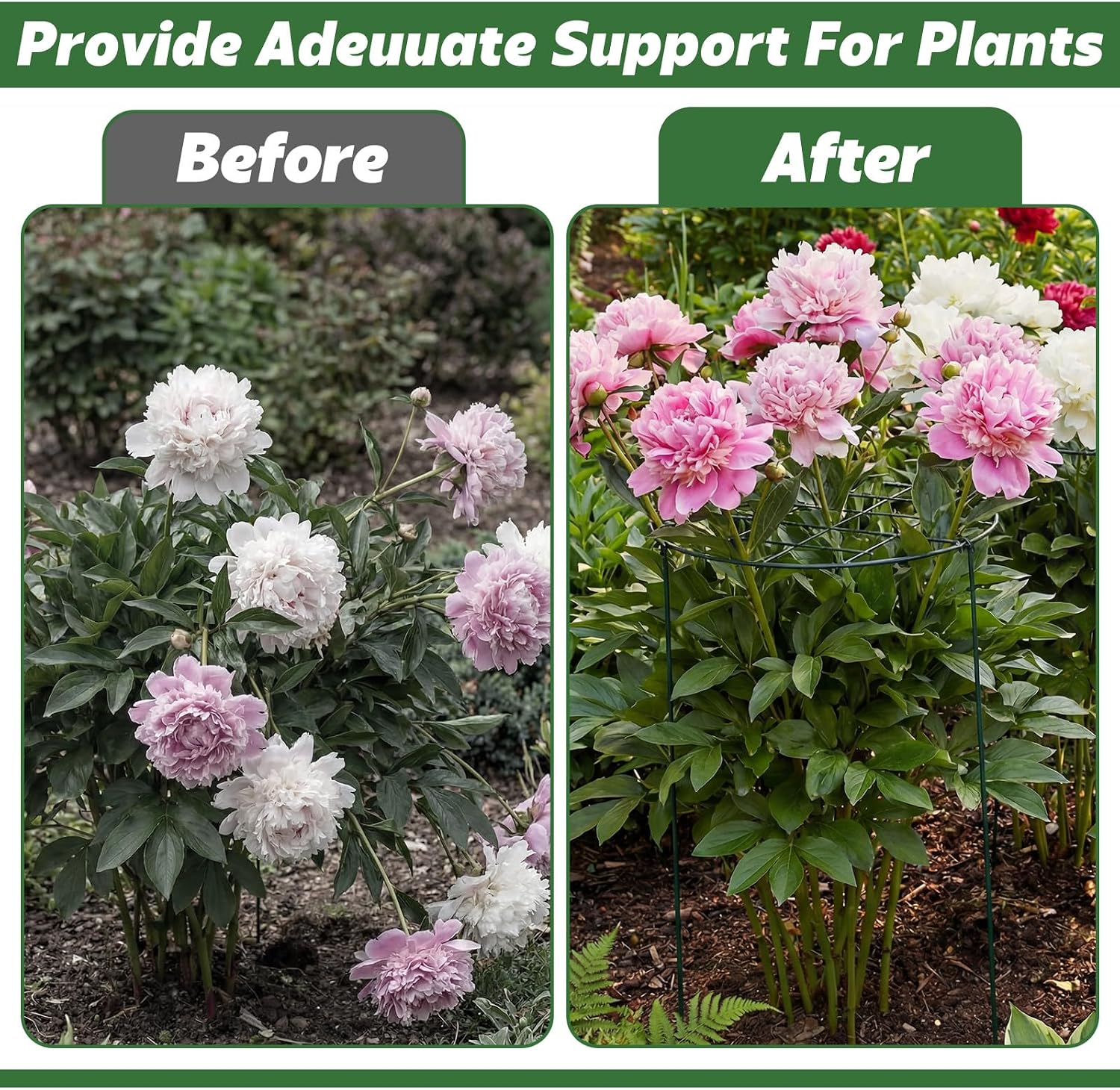 4 Pack Round Peony Cages and Supports 20 x 30 Inches (D x H) Grow Through Grid Plant Brace Plant Support Stake Heavy