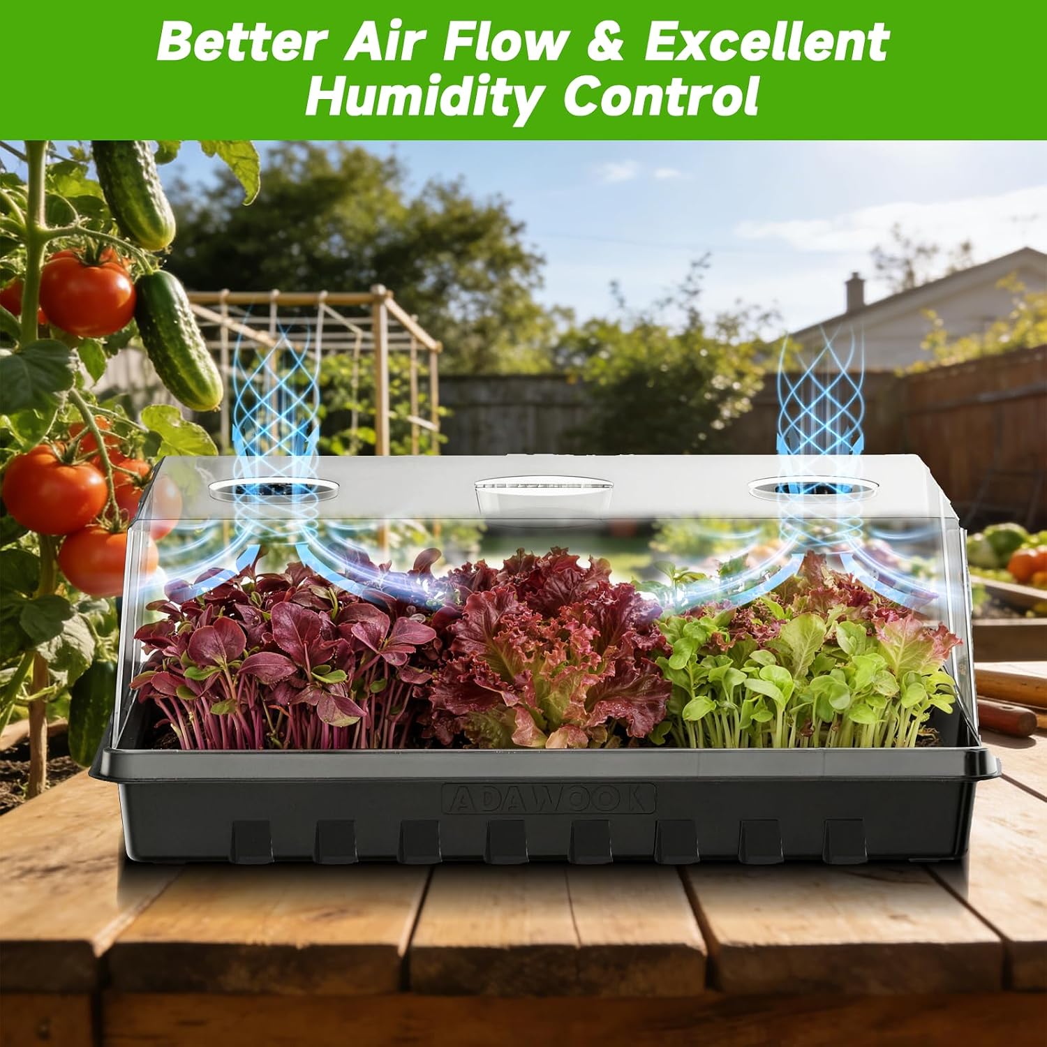Seed Starter Tray, Gardening Plant Grow Trays Kit for Seedling, Germination Trays with 4.72 Inch High Humidity