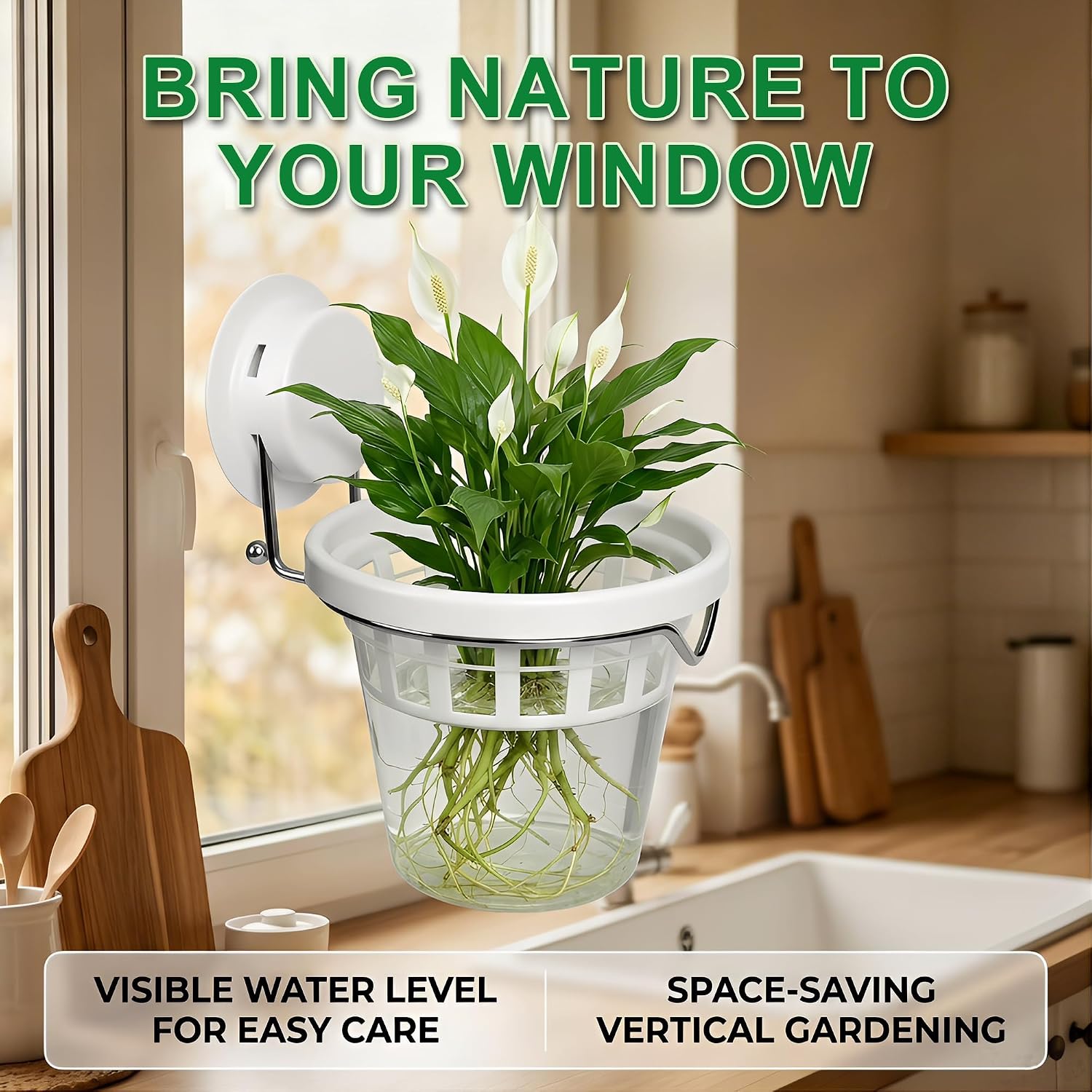 3 Pcs Window Propagation Stations Plastic Wall Hanging Planter with Suction Cup Holder Window Mounted Plant for