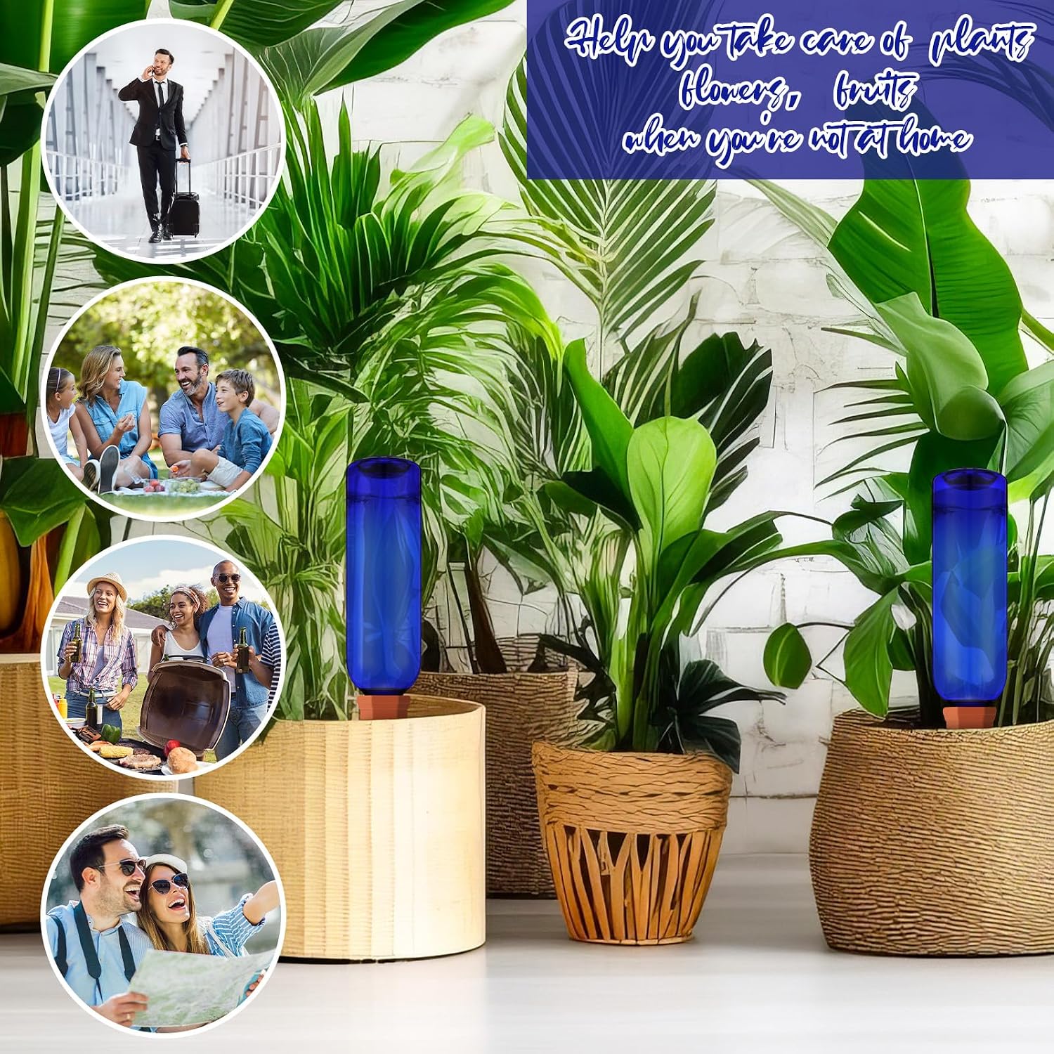 Teenyyou 12 Pcs Watering Spikes for Indoor Plants Include Terracotta Self Watering Spikes Devices and 26 oz Plastic