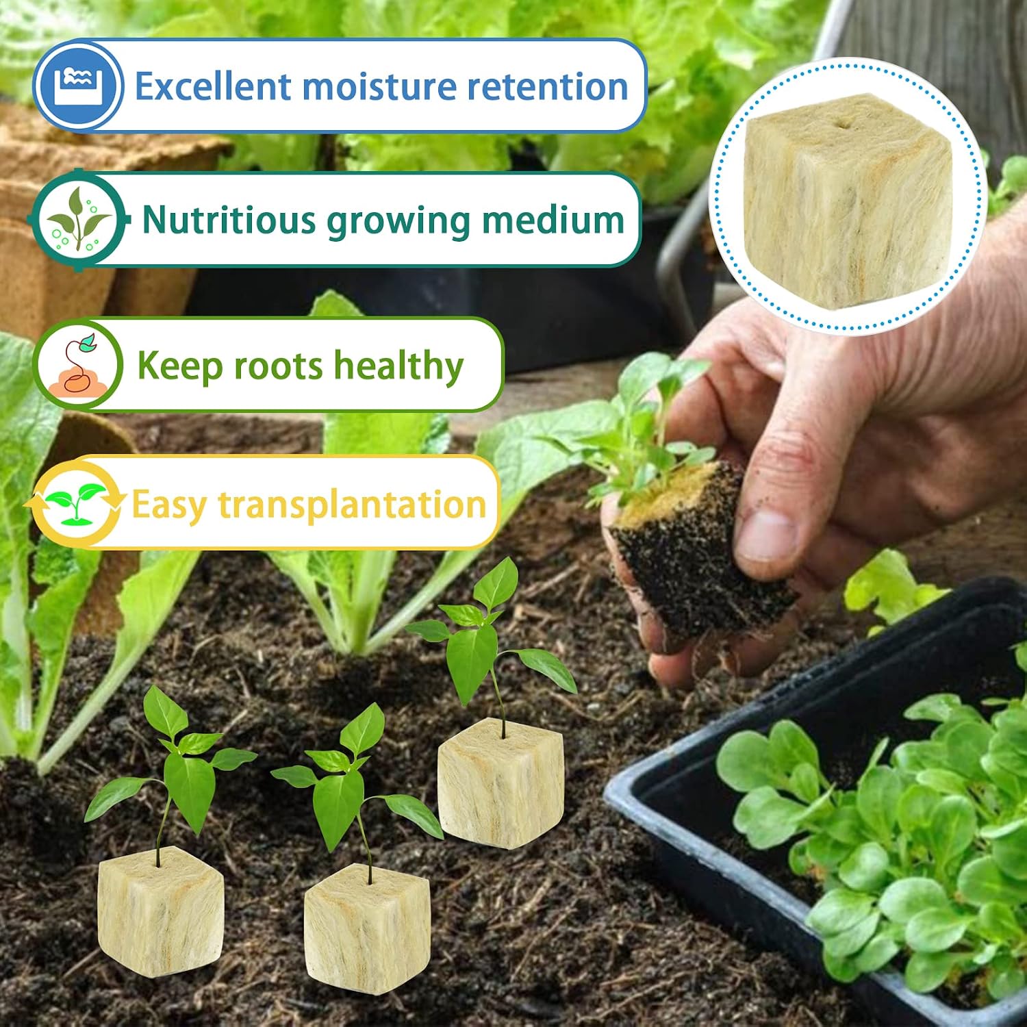 1.5 Inch Rockwool Cubes for Hydroponics Seed Starter, Rock Wool Planting Cubes Hydroponic Garden Grow Plugs for