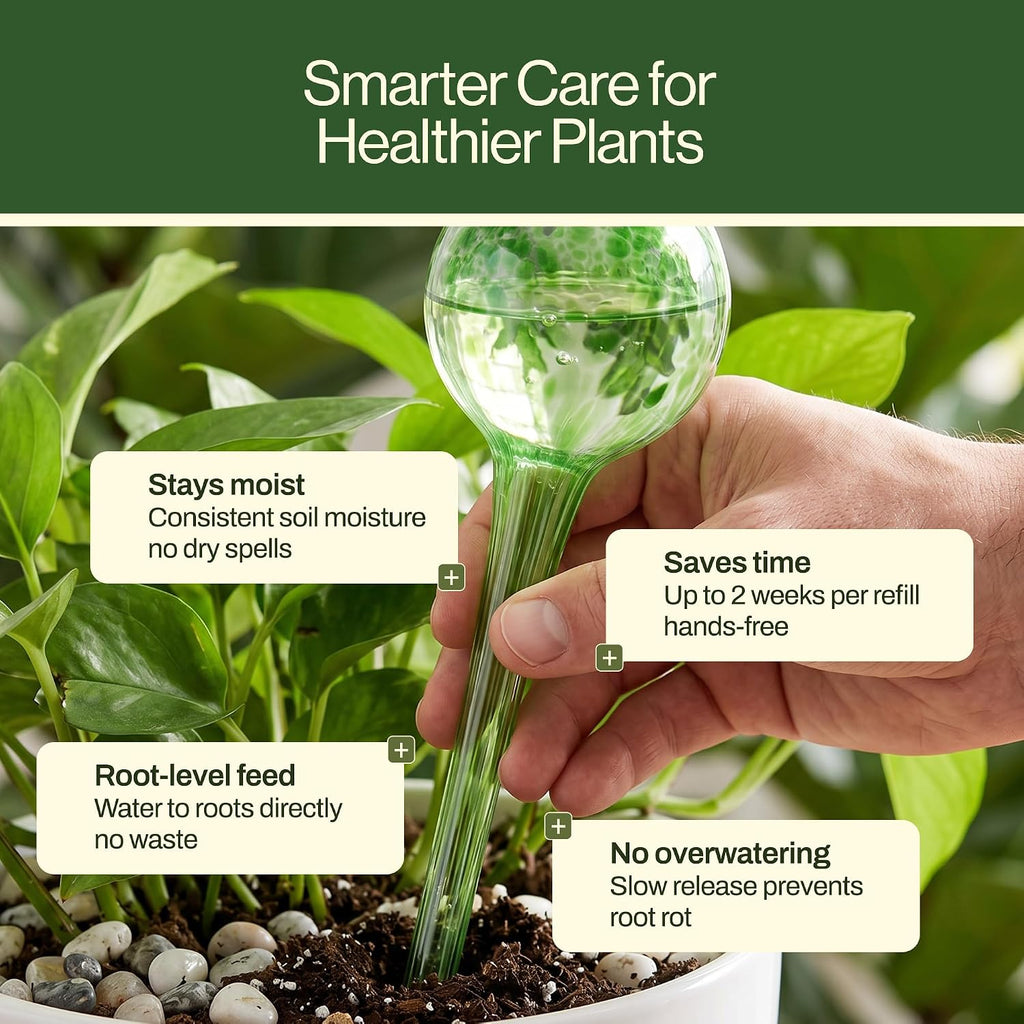 Besti Large Self Watering Globes for Plants Hands Free | Durable, Multicolored Glass Craftsmanship | Holds 380-400ml