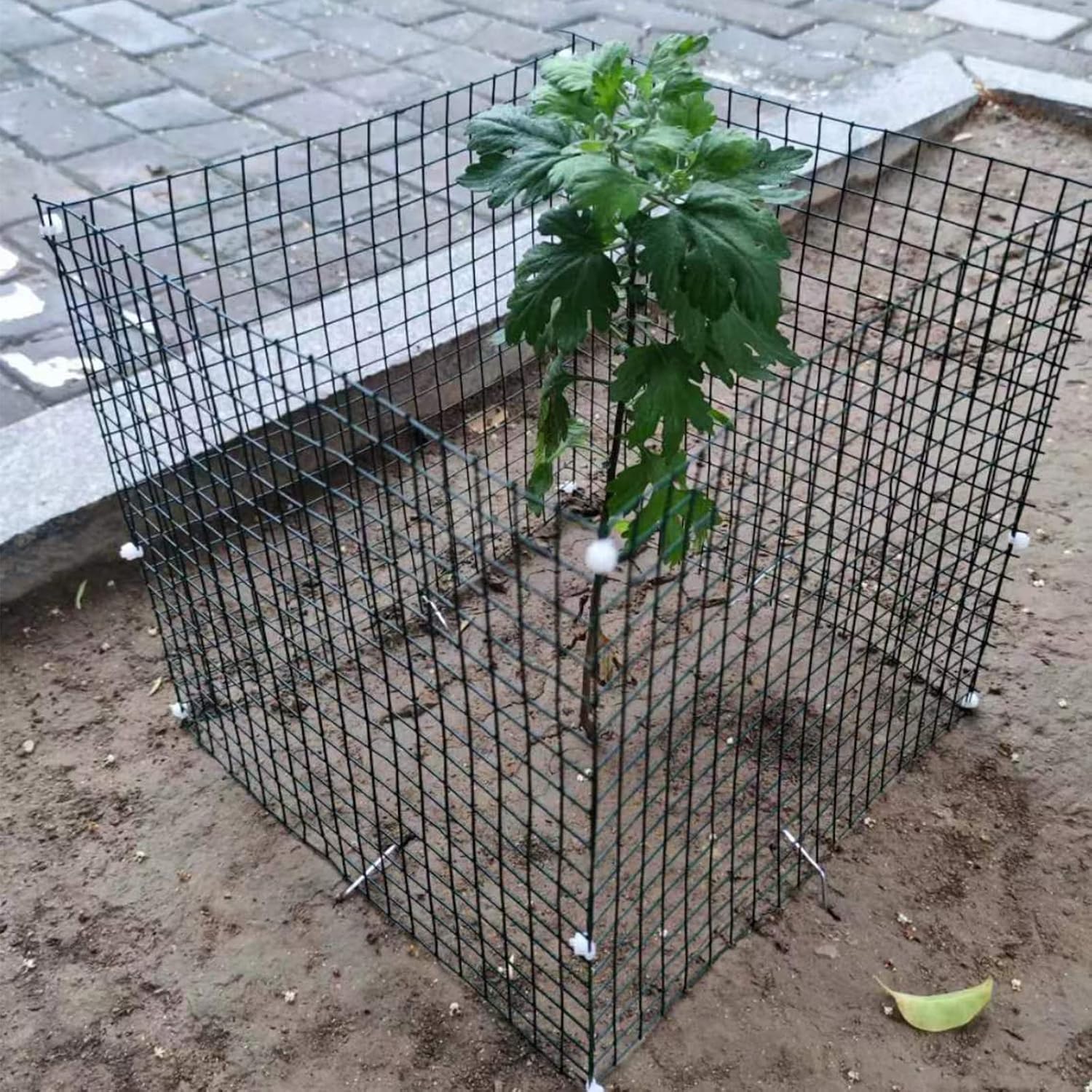 Small Wire Plant Protectors, 10 Pack 12" Square Plant Protectors from Animals Mesh Plant Cage Chicken Wire Cover for