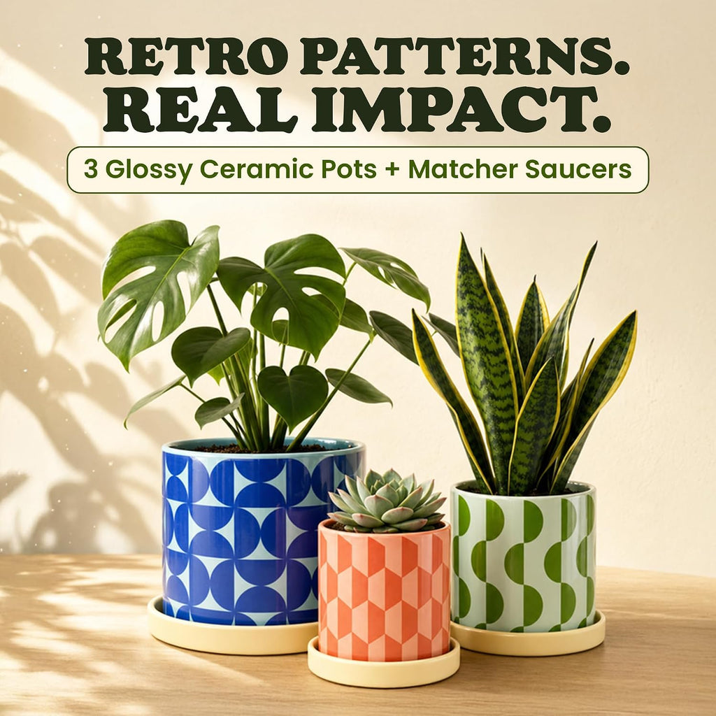 Ceramic Plant Pots, Indoor Planters - Set of 3 | Flower Pots for Plants with Drainage Hole & Saucer, Geometric Home