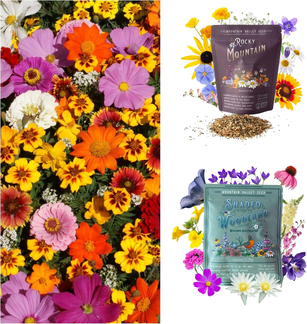 Mountain Valley Seed Co Wildflower Seeds Collection - 500,000+ Bulk Seeds | 6 Wildflower Mixes Including Hummingbird
