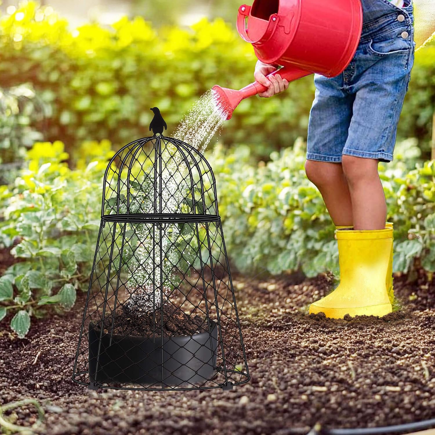Garden Cloches for Plants, Chicken Wire Cloche, Plant Cloche and Cages, Wire Plant Protectors from Animals, Protection