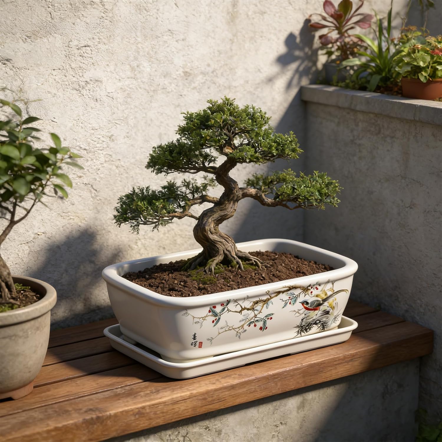8" Bonsai Pots with Tray, Rectangular Planter in Blue & White | 8" glazed ceramic bonsai pots with tray, large shallow
