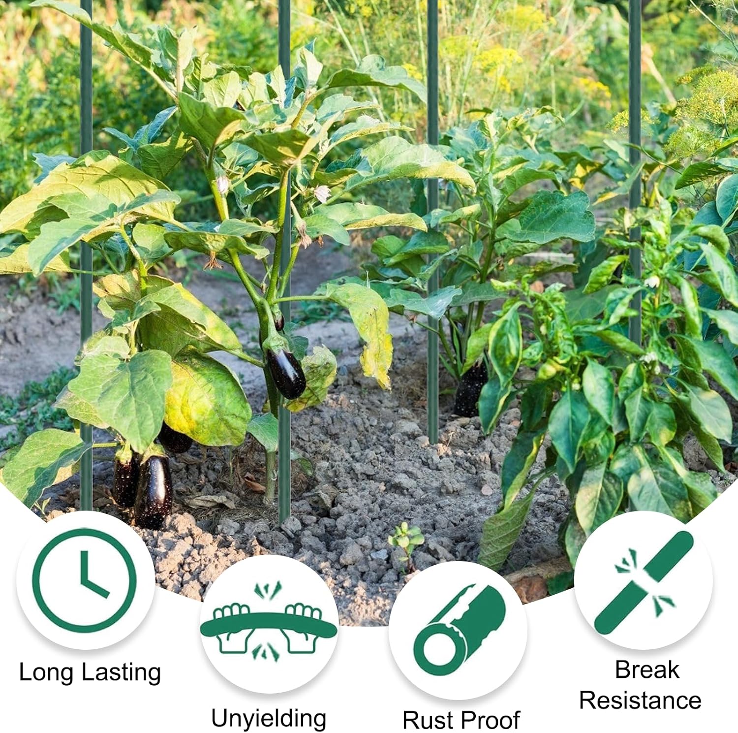 Garden Stakes 55 Inches Steel Plant Stakes Tomato Stakes Garden Poles Pack of 25