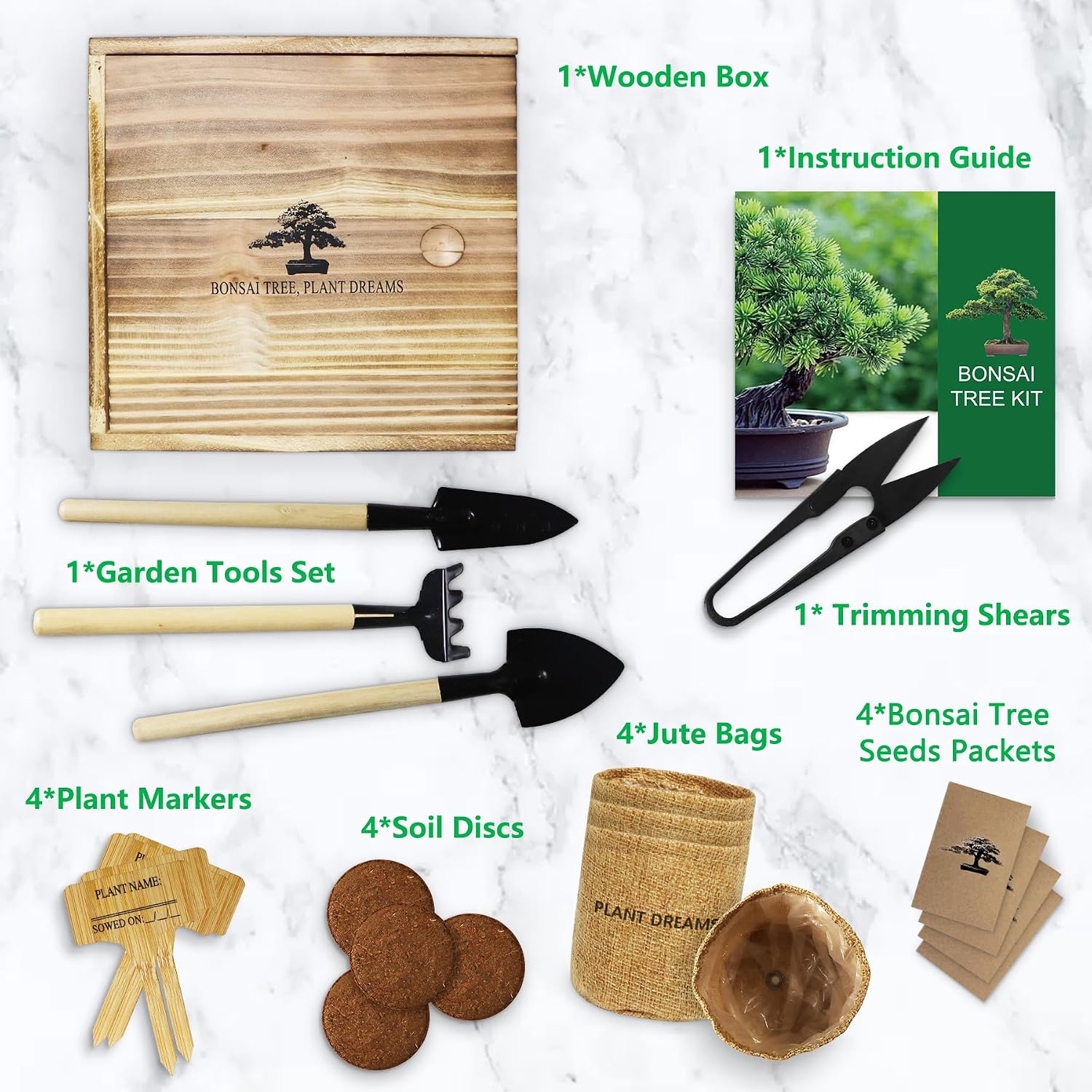 Bonsai Tree Starter Kit for Beginners - Indoor Live Plant Gardening Adult Craft DIY Kits - Unique Christmas, Birthday