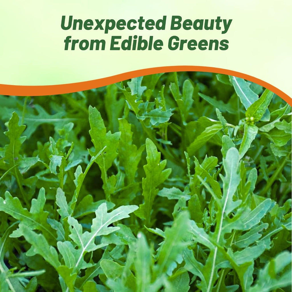 Outsidepride Arugula & Microgreens Seeds - 1 lb. Annual, Easy to Grow & Pollinator Friendly, Herb Seeds for Planting