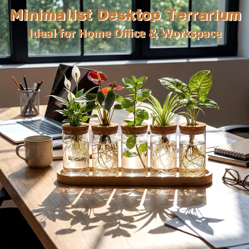 Zhehao 5 Pack Plant Propagation Station Hydroponic Glass Jar Terrarium with Cork Lids Bamboo Tray Desktop Planter for