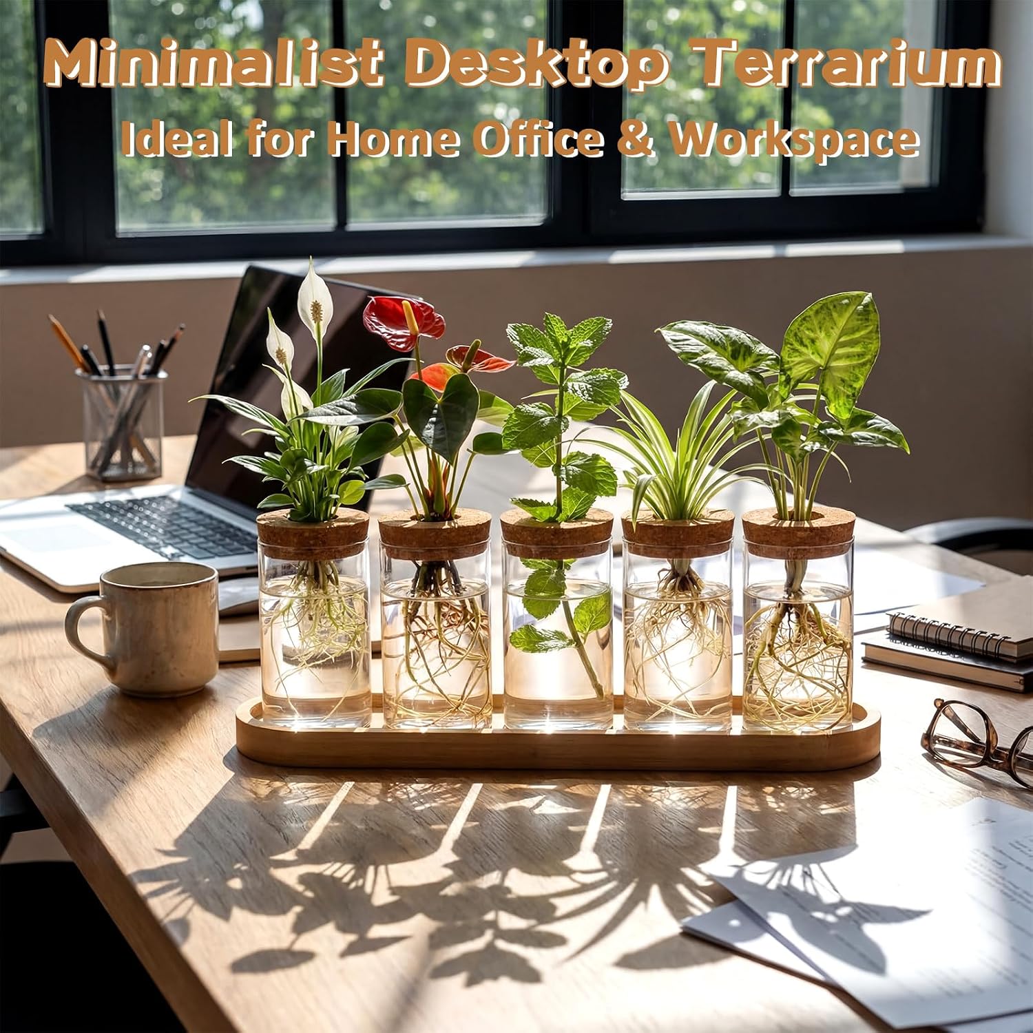Zhehao 5 Pack Plant Propagation Station Hydroponic Glass Jar Terrarium with Cork Lids Bamboo Tray Desktop Planter for