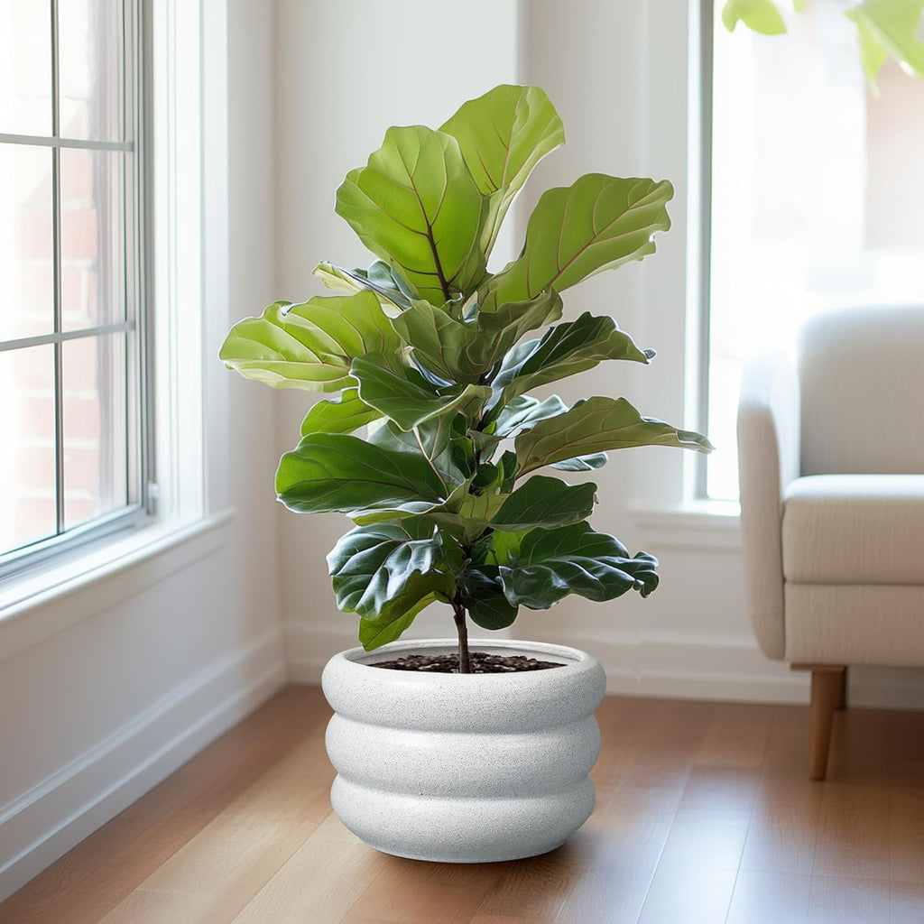 SQOWL Ceramic Planter Pot 13.5 Inch - Plant Pot Indoor with Drainage Hole Large Flower Pot Outdoor Modern Planter House