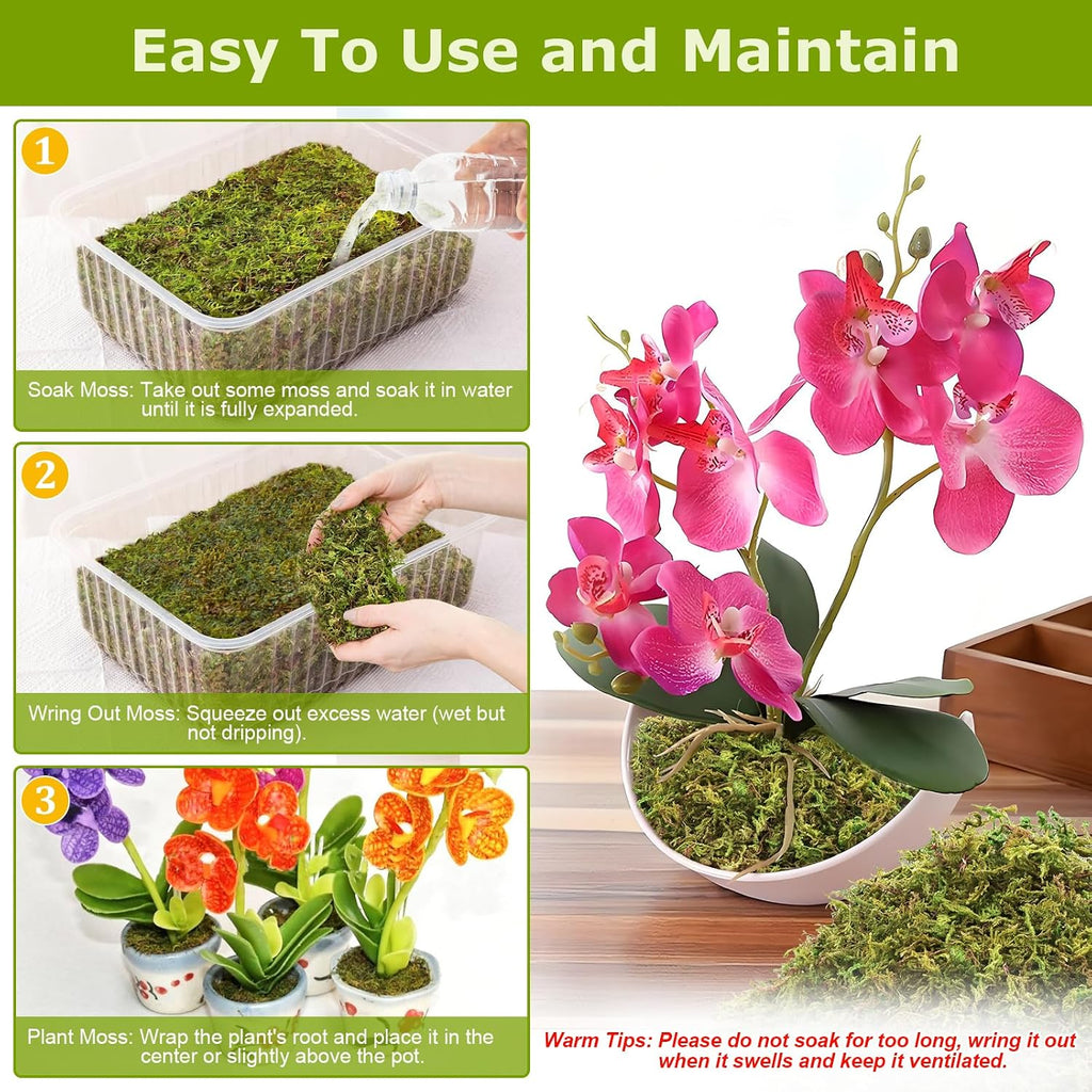 4.4LB Sphagnum Moss for Plants, 80QT Natural Long Fiber Orchid Moss | Drainage & Moisture Retention, Green Plant Moss