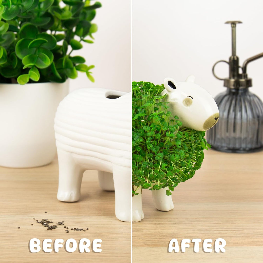 Gift Republic Capybara Chia Planter Desktop Sprouting Chia Animal Fun Grow Kit
