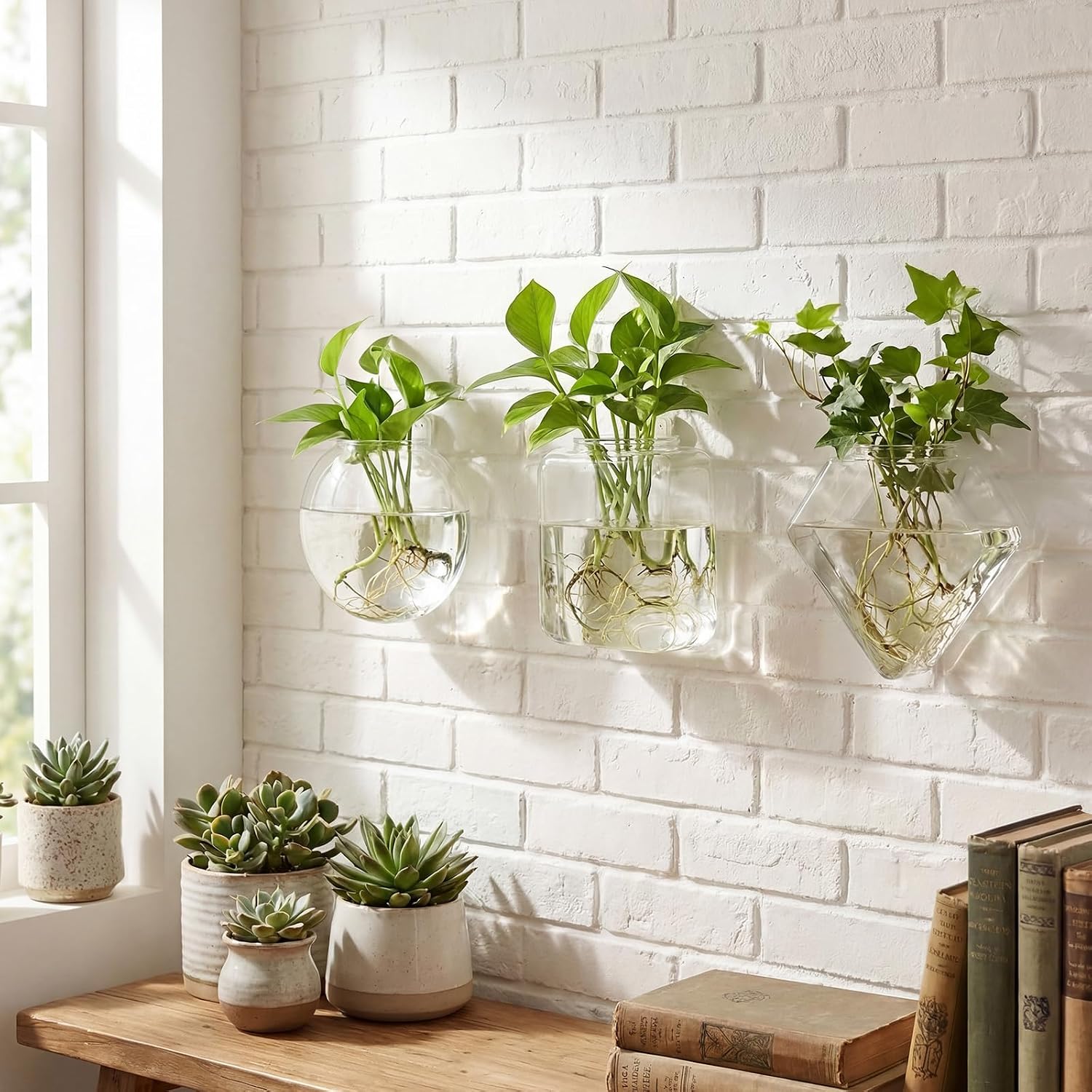 LemonRoad 6 Pcs Wall Hanging Glass Wall Hanging Planter Propagation Station Terrariums Clear Glass Vase Container for