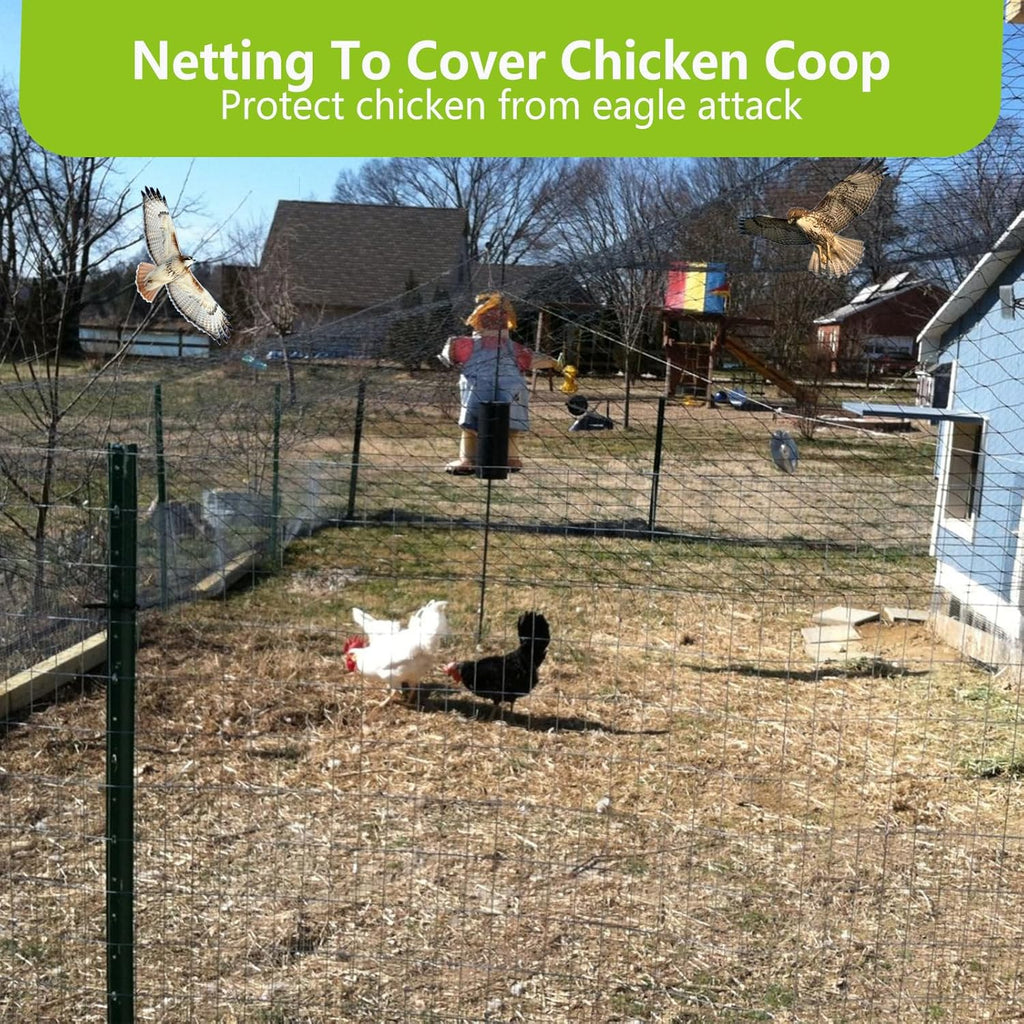 25x50ft Bird Netting for Chicken Coop, 1" Mesh Chicken Coop Netting Cover | Poultry Netting Roof for Chicken Run, Hawk