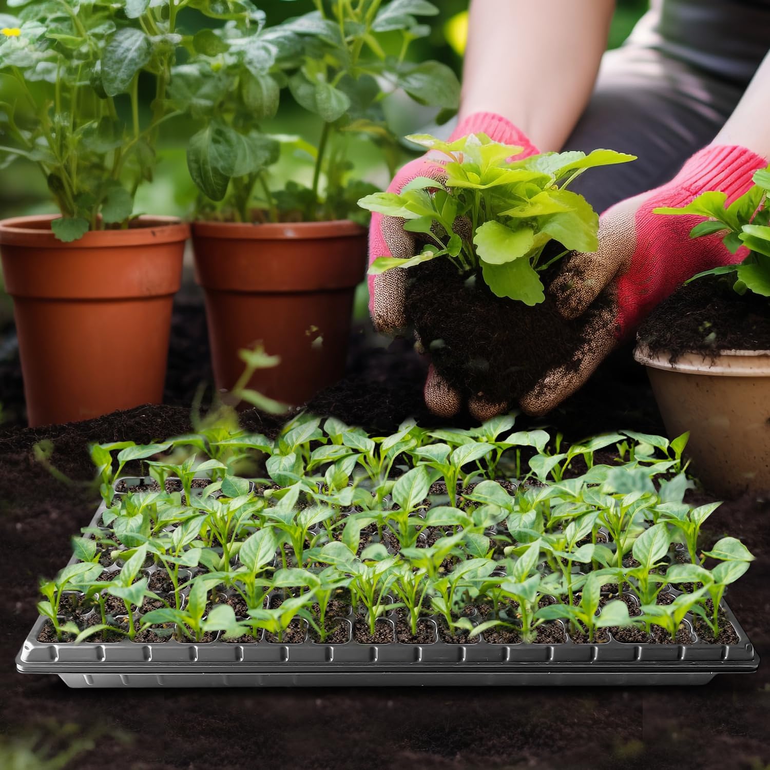 RooTrimmer 10Pcs 128 Cell Seed Starter Trays, Thick Durable Nursery 128 Cell Plug Tray Seedling Flat Plastic Shallow