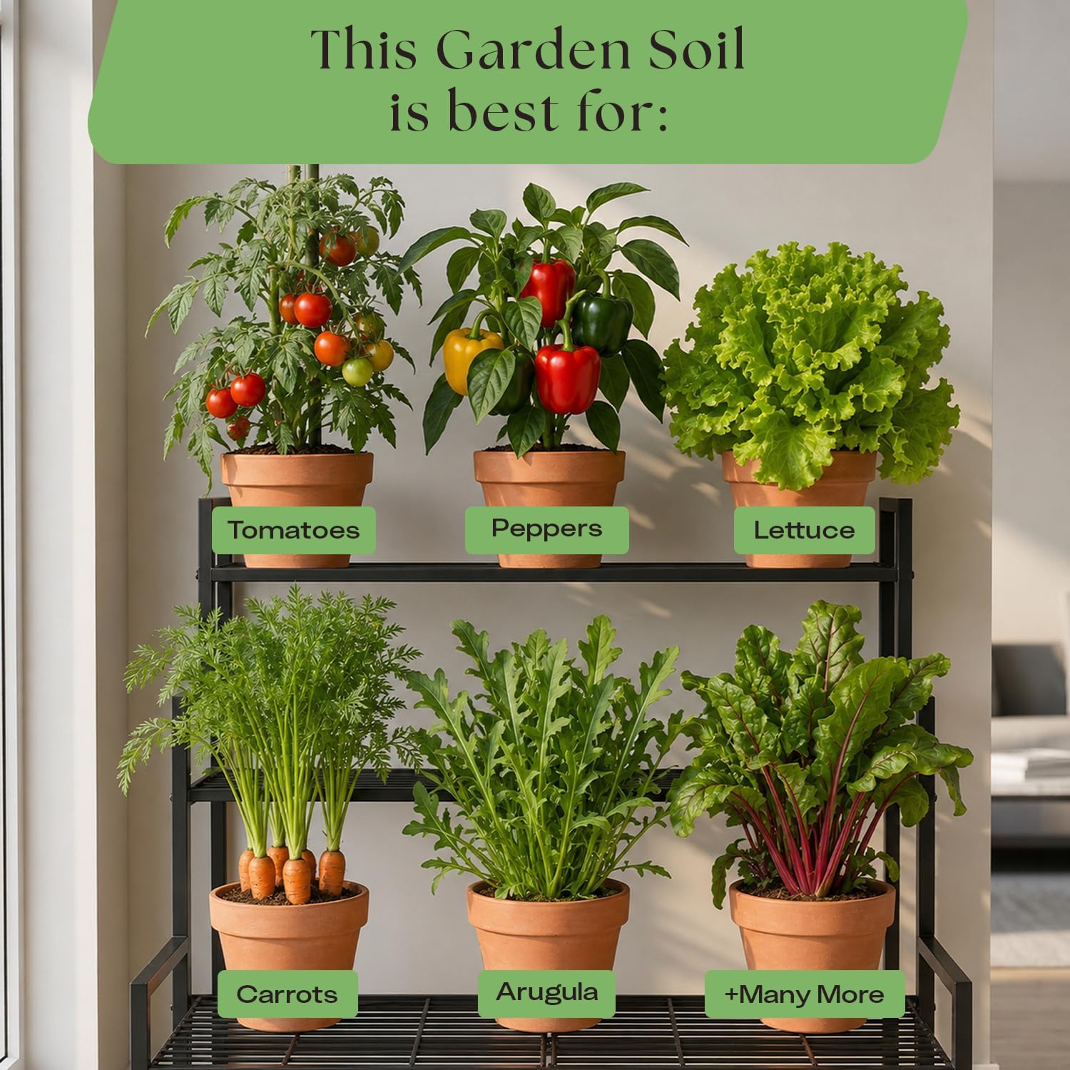 Rosy Soil Garden Mix Biochar Potting Soil for Outdoor Plants, 8 Quart | Organic Garden Soil with Worm Castings for