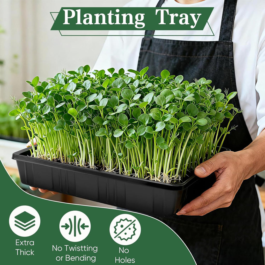Sckee Upgraded 10 Pack Plant Growing Trays Seed Starting Tray Microgreens Growing Trays Seedling Plant Germination