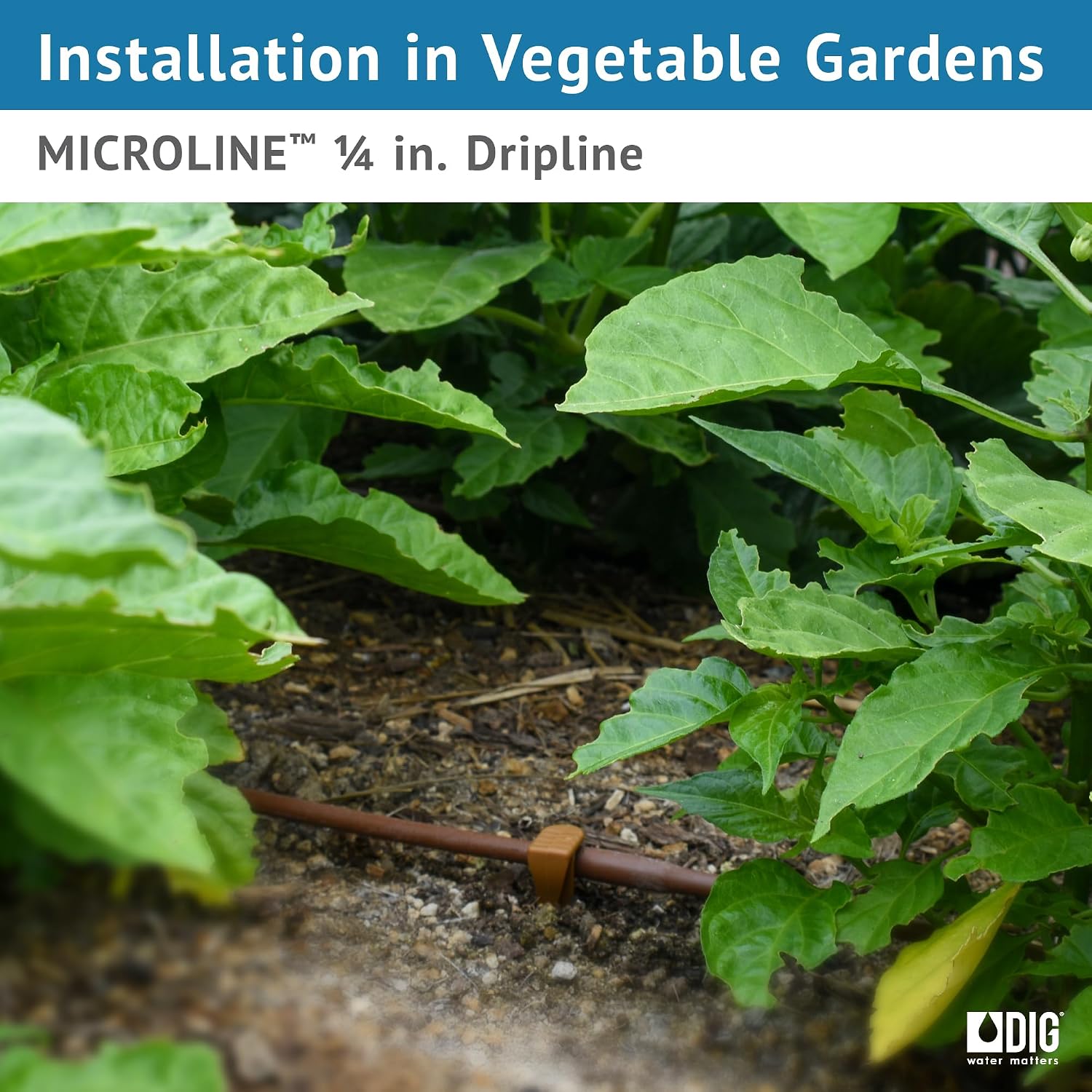 DIG ¼” 100’ MICROLINE™ Dripline - Enhanced 6” Emitter Spacing, UV-Resistant, Perfect for Diverse Garden Layouts (Brown)
