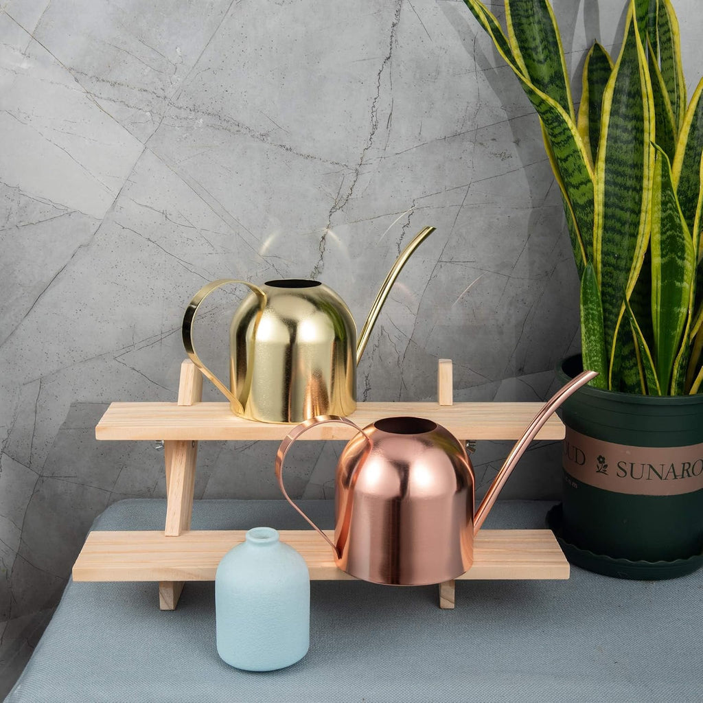 IMEEA 30oz Indoor Plant Watering Can Stainless Steel Long Spout, Rose Gold