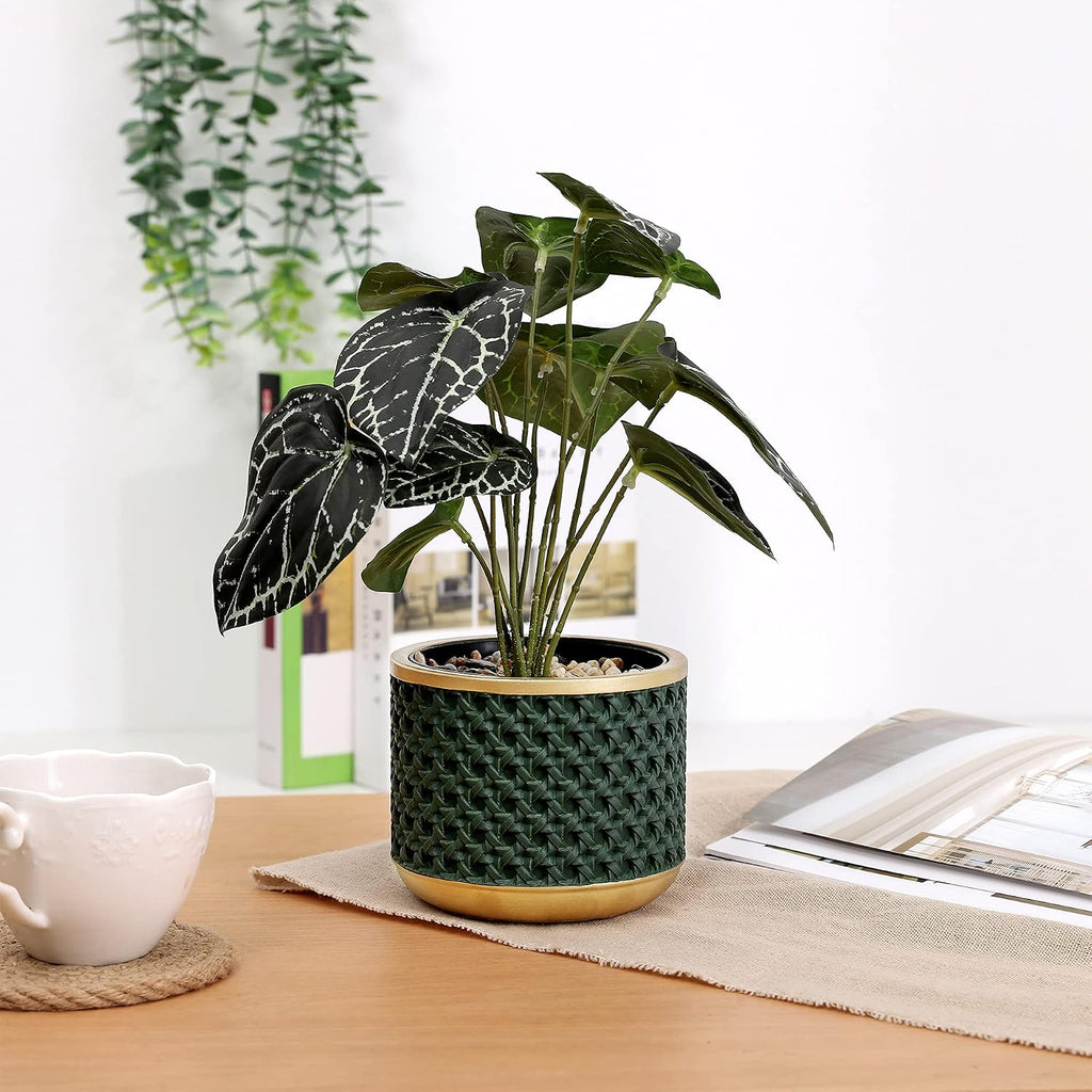 6&4.4 Inch Cement Planter Decorative Pots with Drainage Hole for All House Plants, Succulents, Flowers, and Cactus