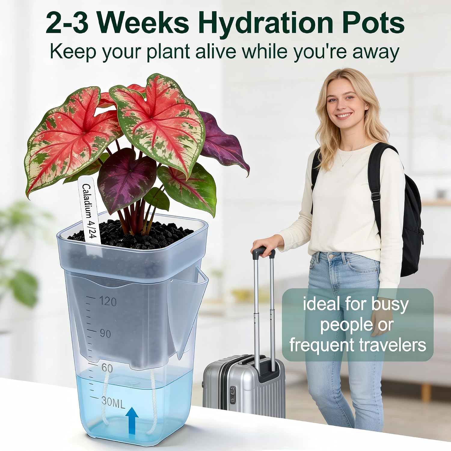 20 Pack Self-Watering Pots, 2 & 2.5 Inch Nursery Planters | Clear semi hydroponic pots with drainage holes, ideal for