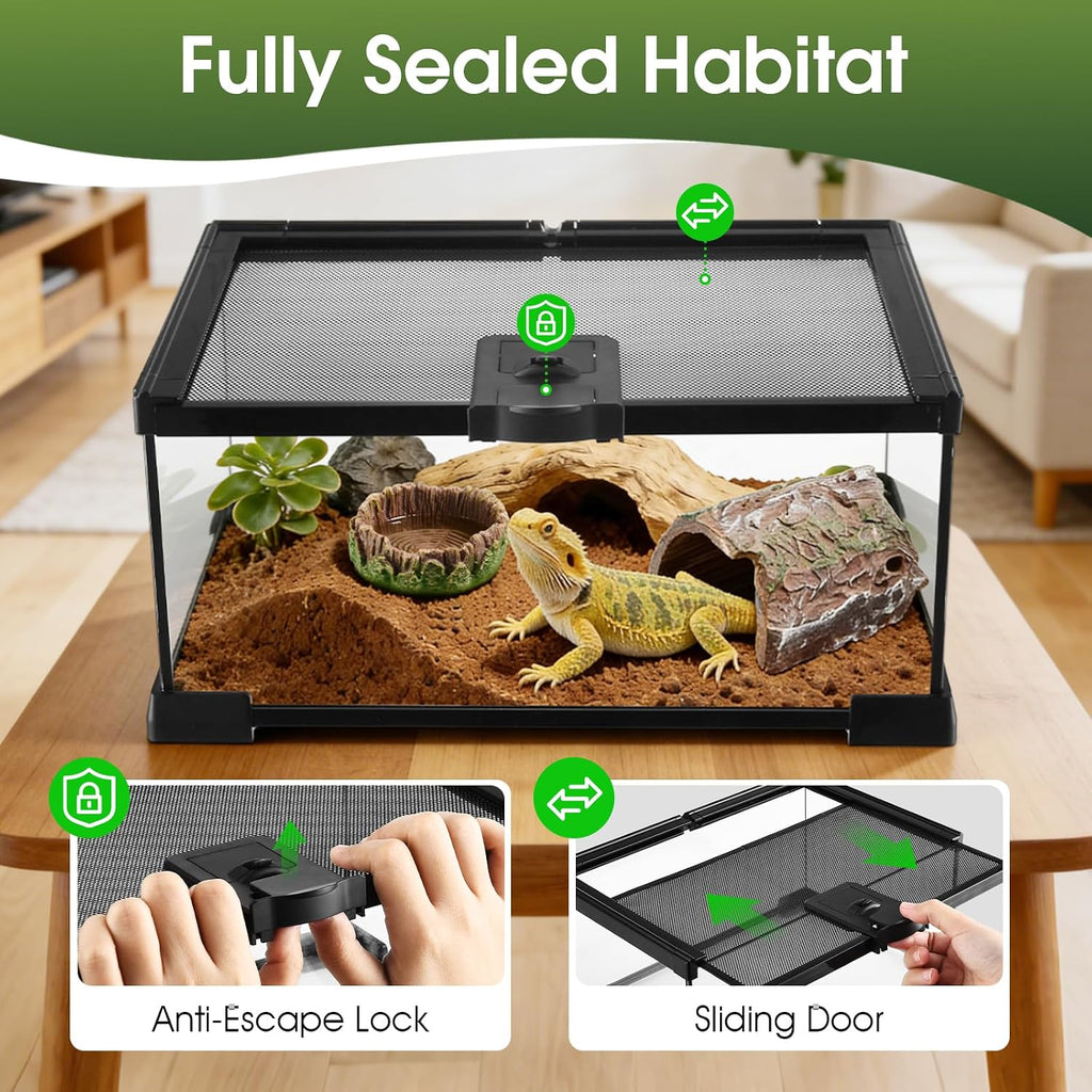 Reptile Terrarium Glass Kit 12" x 8" x 6" Starter Habitat for Tarantula, Succulents, Frogs, or Hermit Crabs, Tank with