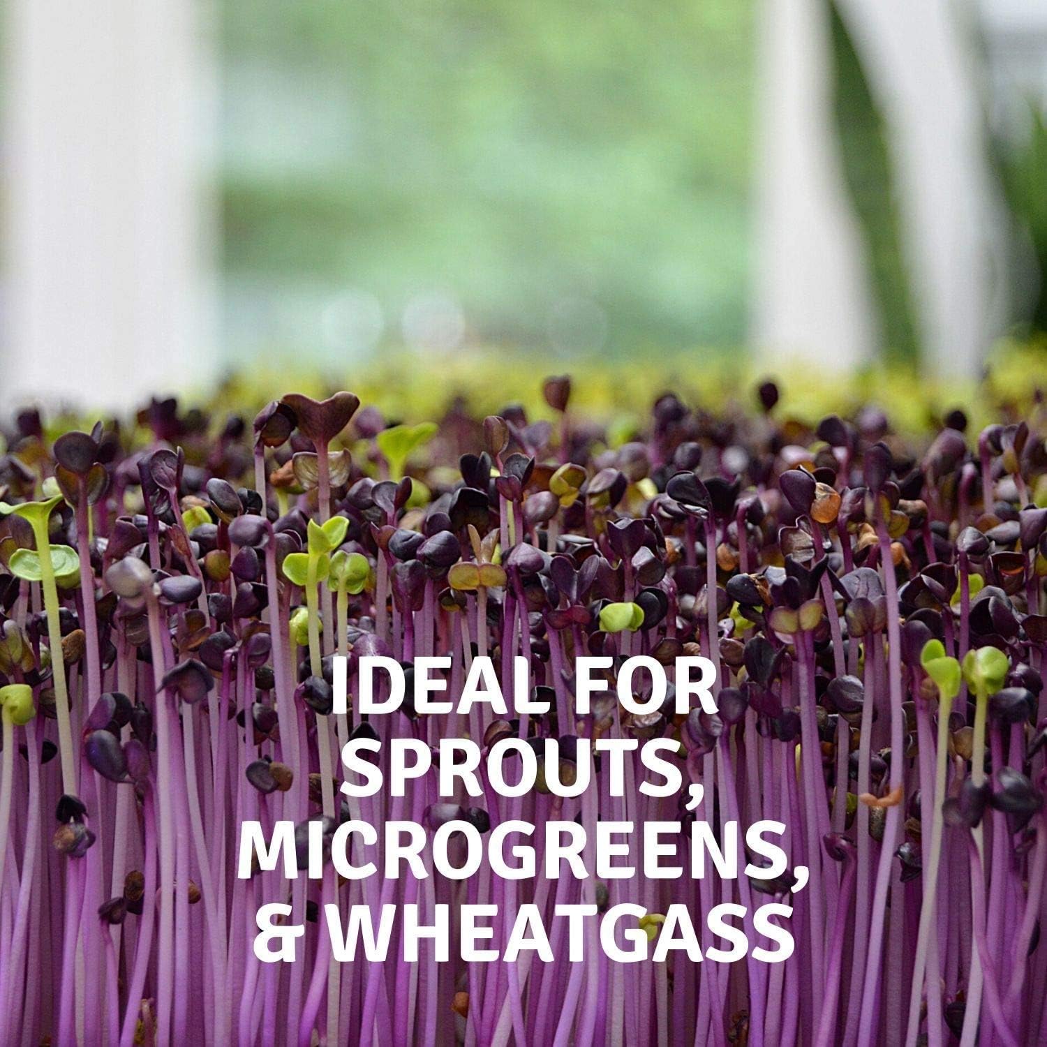 Handy Pantry Micro-Mats Hydroponic Grow Pads for Organic Production 10 Pack | Plant & Seed Germination: Wheatgrass