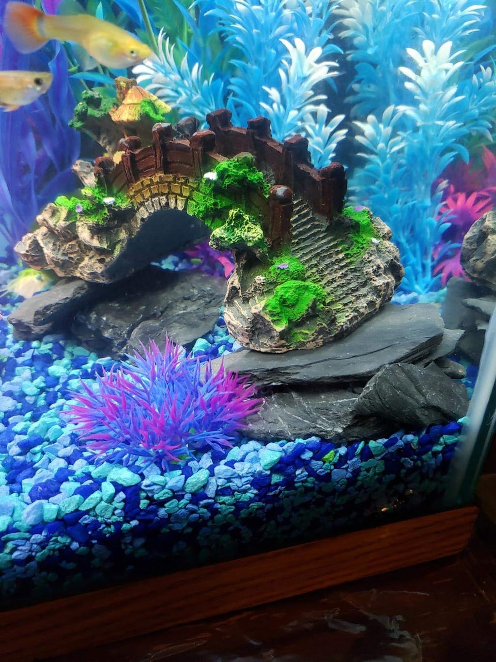 Voulosimi Natural Slate Rocks PH Neutral Stone Perfect Rocks for Aquariums, Landscaping Model,Tank Decoration,Amphibian