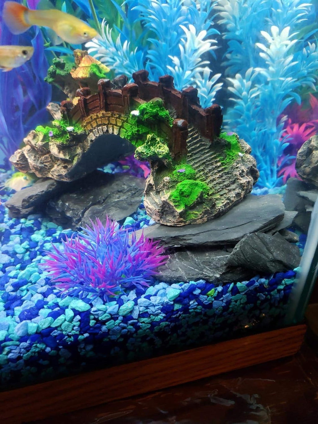 Voulosimi Natural Slate Rocks PH Neutral Stone Perfect Rocks for Aquariums, Landscaping Model,Tank Decoration,Amphibian