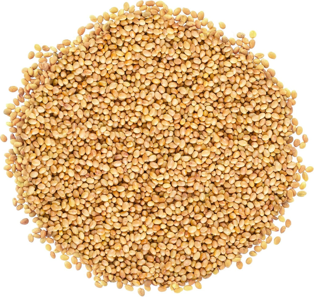 Food to Live Organic Clover Seeds for Sprouting, 3 Pounds Non-GMO, Pure, Vegan, Kosher, Bulk. Edible Seeds. Rich in