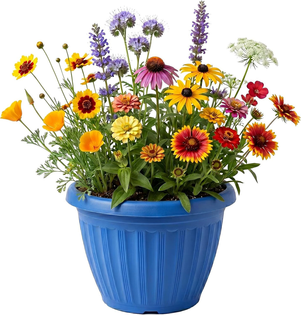 Buzzy Seeds Chaos Garden Grow Kit 3-Pack - Decorative Planter - Complete Indoor/Outdoor Gardening Kit with Seeds