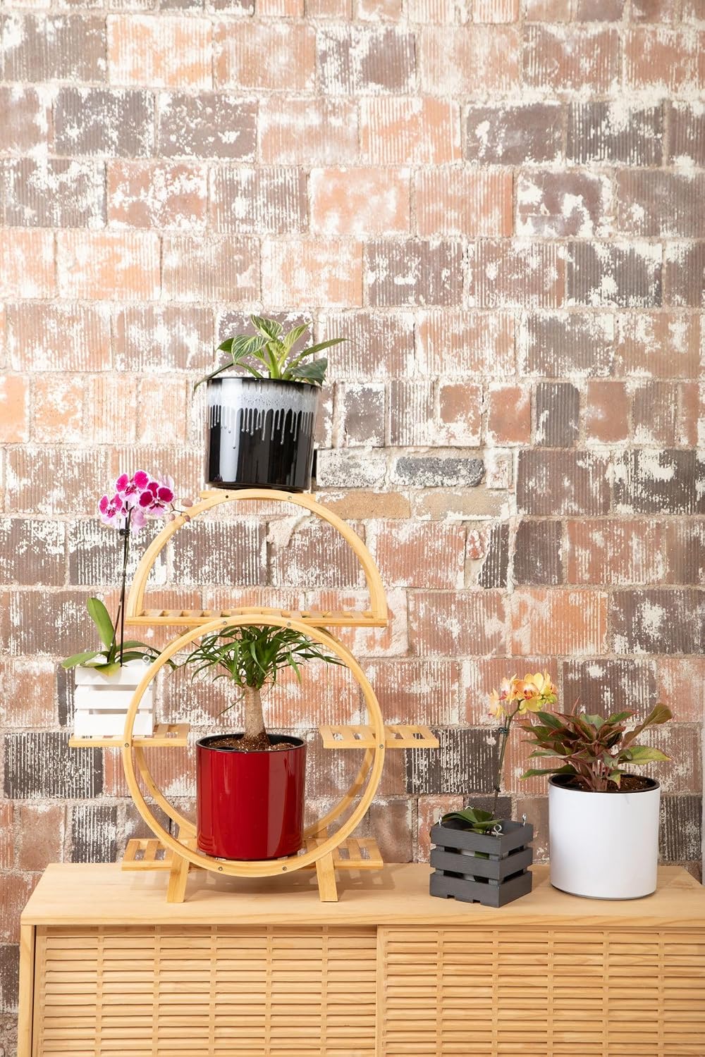 8 inch Self Watering Plant Pot for Indoor Plants, African Violets, Succulents, The Aqua Core Collection (Designer White)